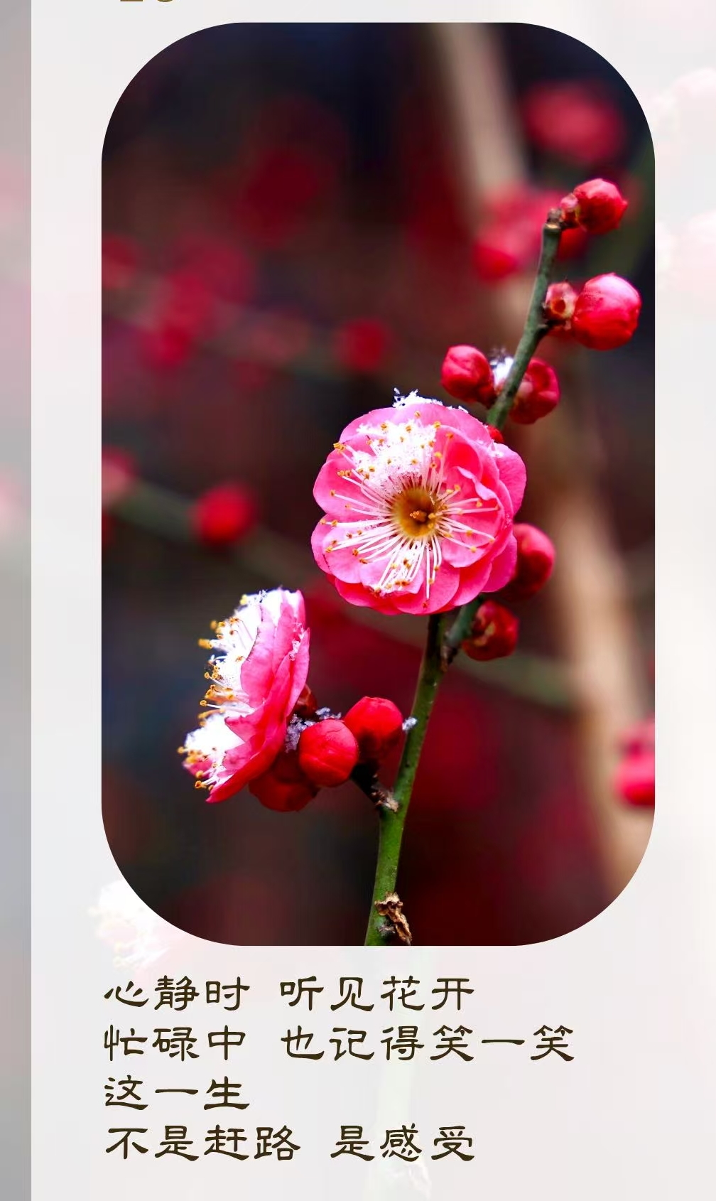 心静时 听见花开
忙碌中 也记得笑一笑这一生
不是赶路 是感受