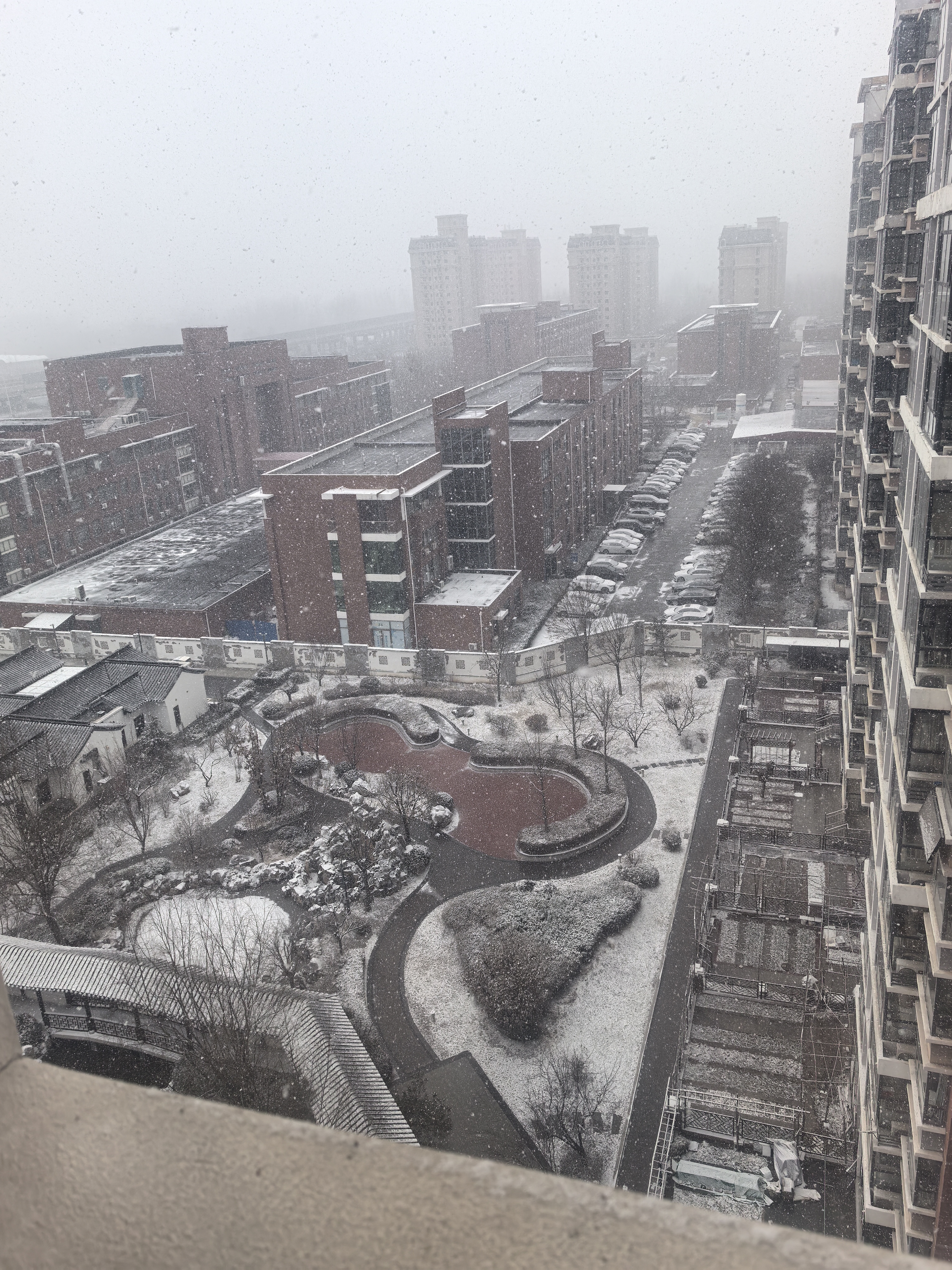 《立春雪中酿蜜行》
琼英初绽立春时，
雪压青松万玉枝。
铜壶慢煮山泉沸，
茶烟缠上古贤诗。

案头摊