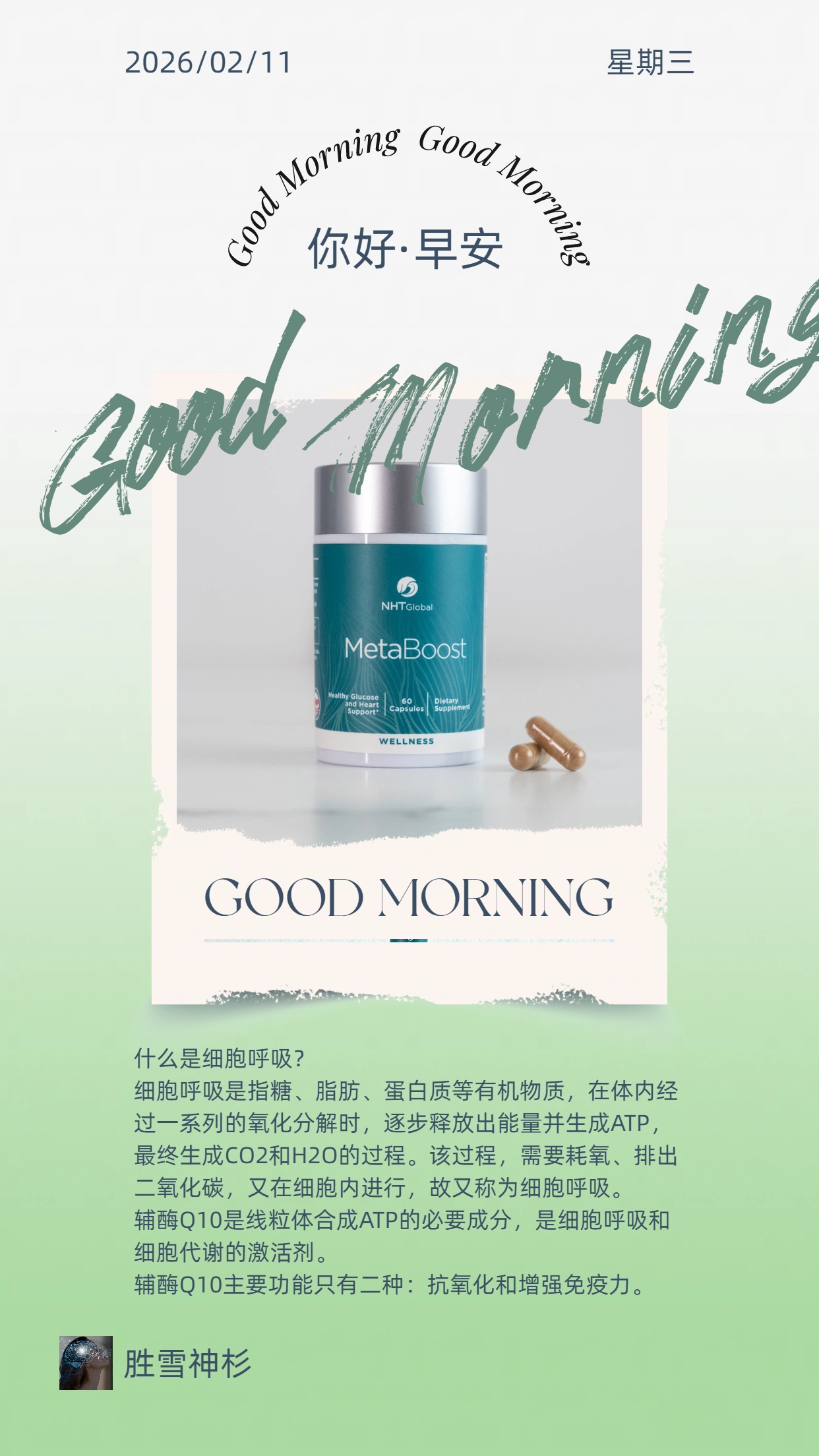🌍NHT Global🌍早安☀分享🌈
❤本周上榜～胜雪神杉（加速新陈代谢，抗衰老的好帮手）
⁉️了解