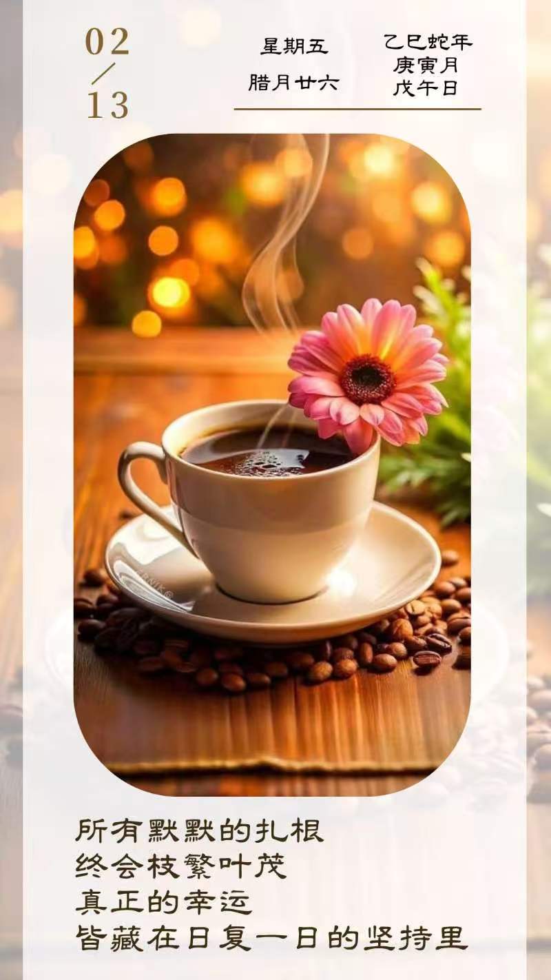所有默默的扎根，终会枝繁叶茂。真正的幸运，皆藏在日复一日的坚持里