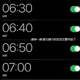 🧧开💰工大💰吉🧧
新年新砖·认真地搬🌻
愿逆风如解意 保我多赚人民币尚😝