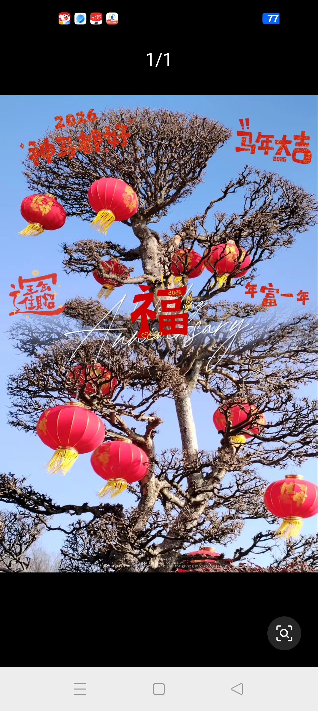 美好生活，即得相伴。🌹