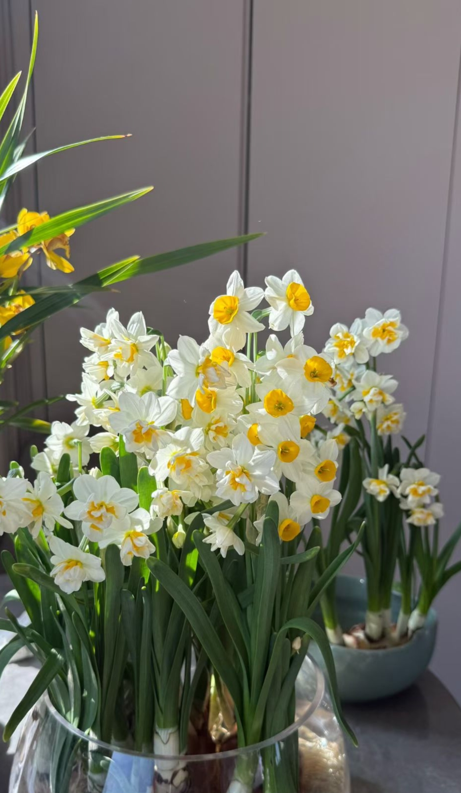 满屋花香，心情愉悦