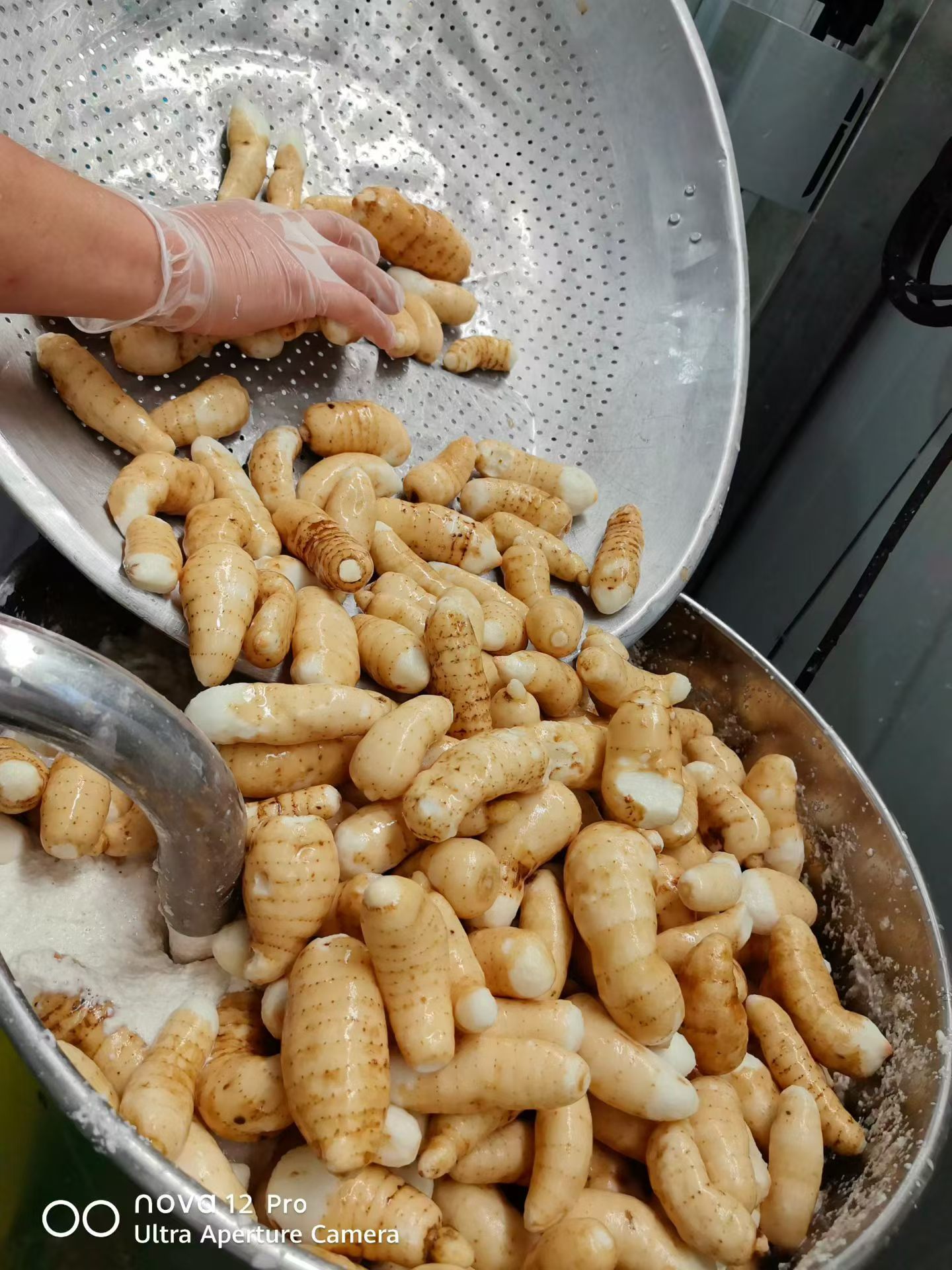 天麻原浆面条