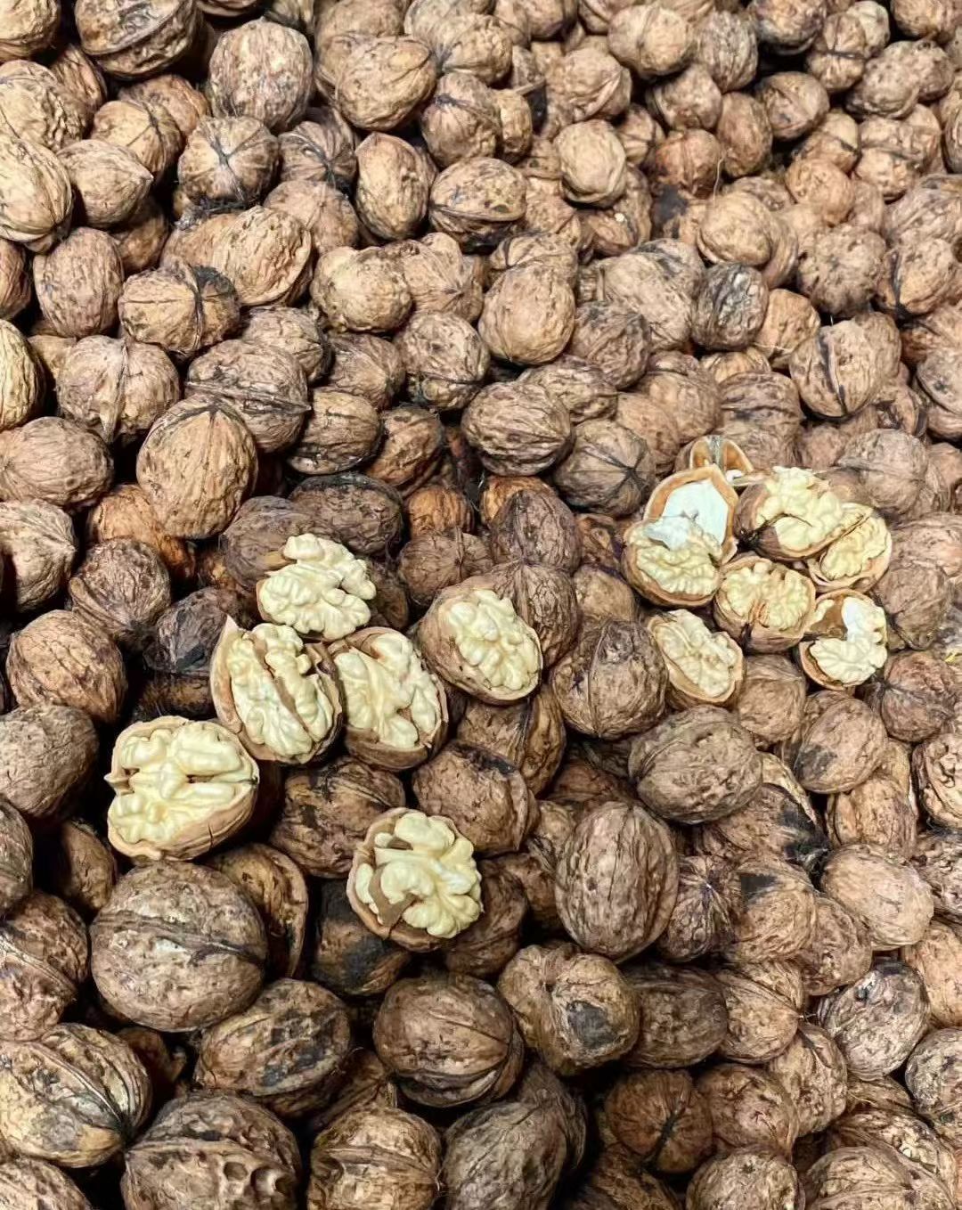 古树薄壳干核桃
