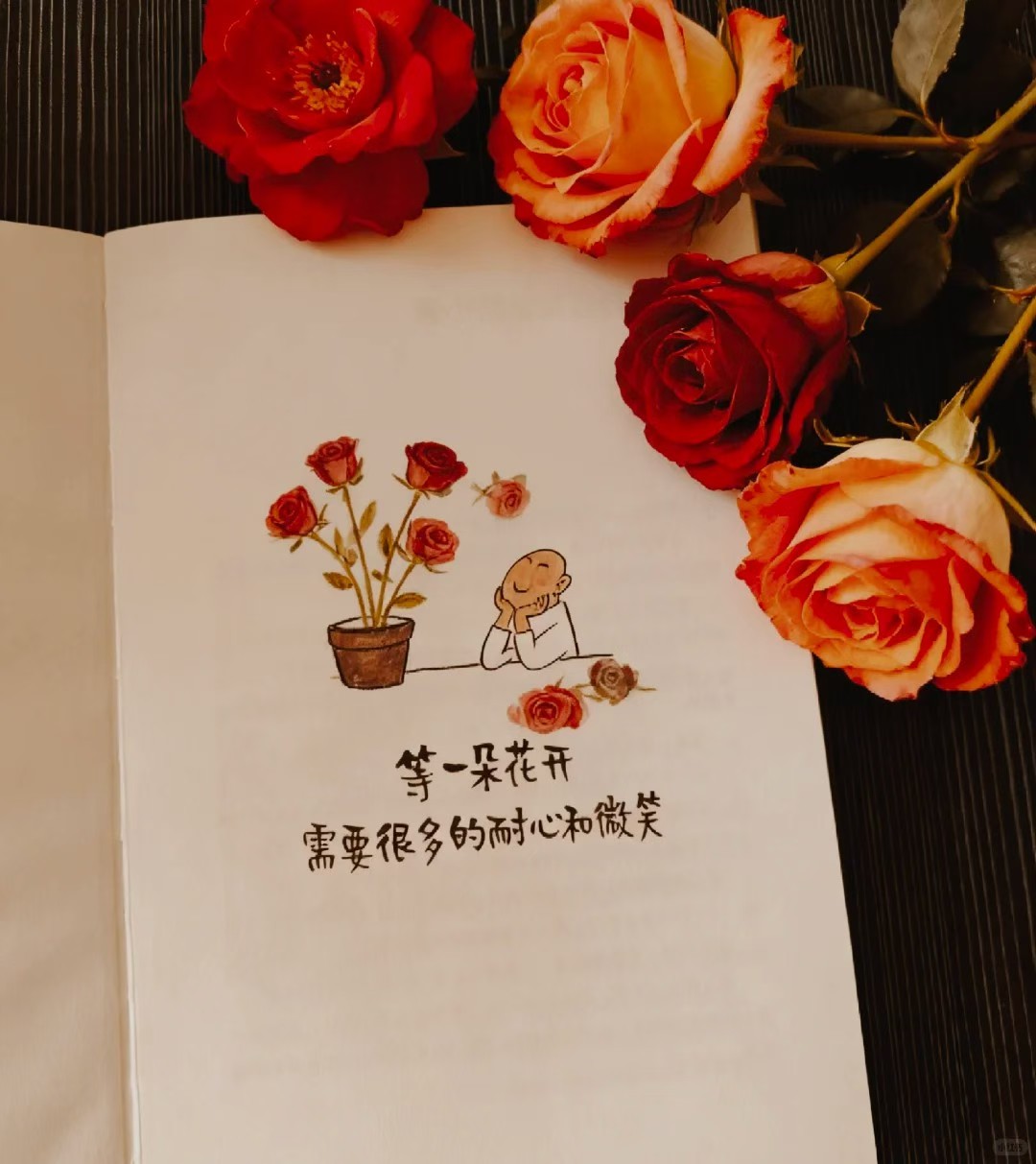 人生有两段路要走 
一段是必须走的路 
一段是想走的路 
必须走的路先走好 
才有机会走想走