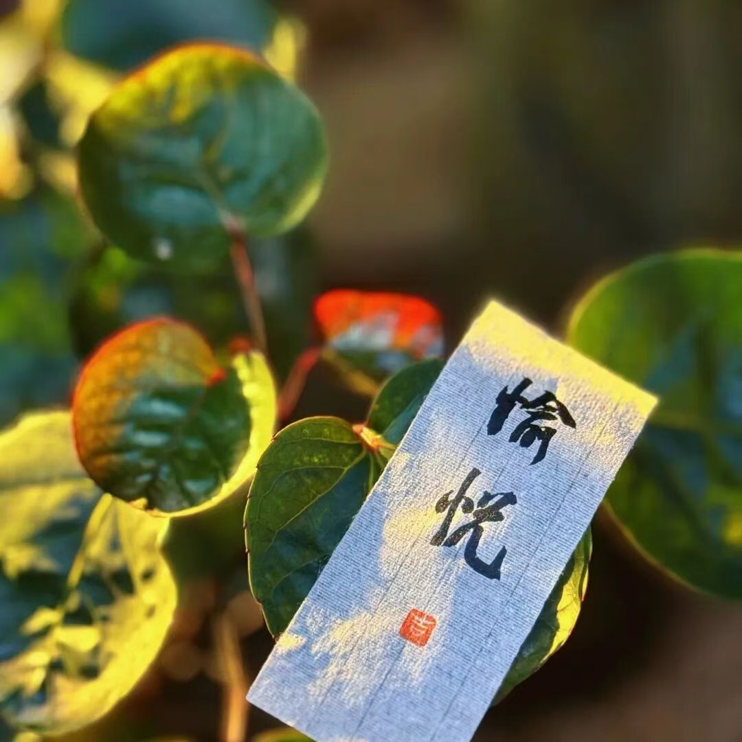 只要心怀希望，
熬过了漫长寒冬，
你的春天自会到来。
那时，荒芜之处，
也将繁花盛开。