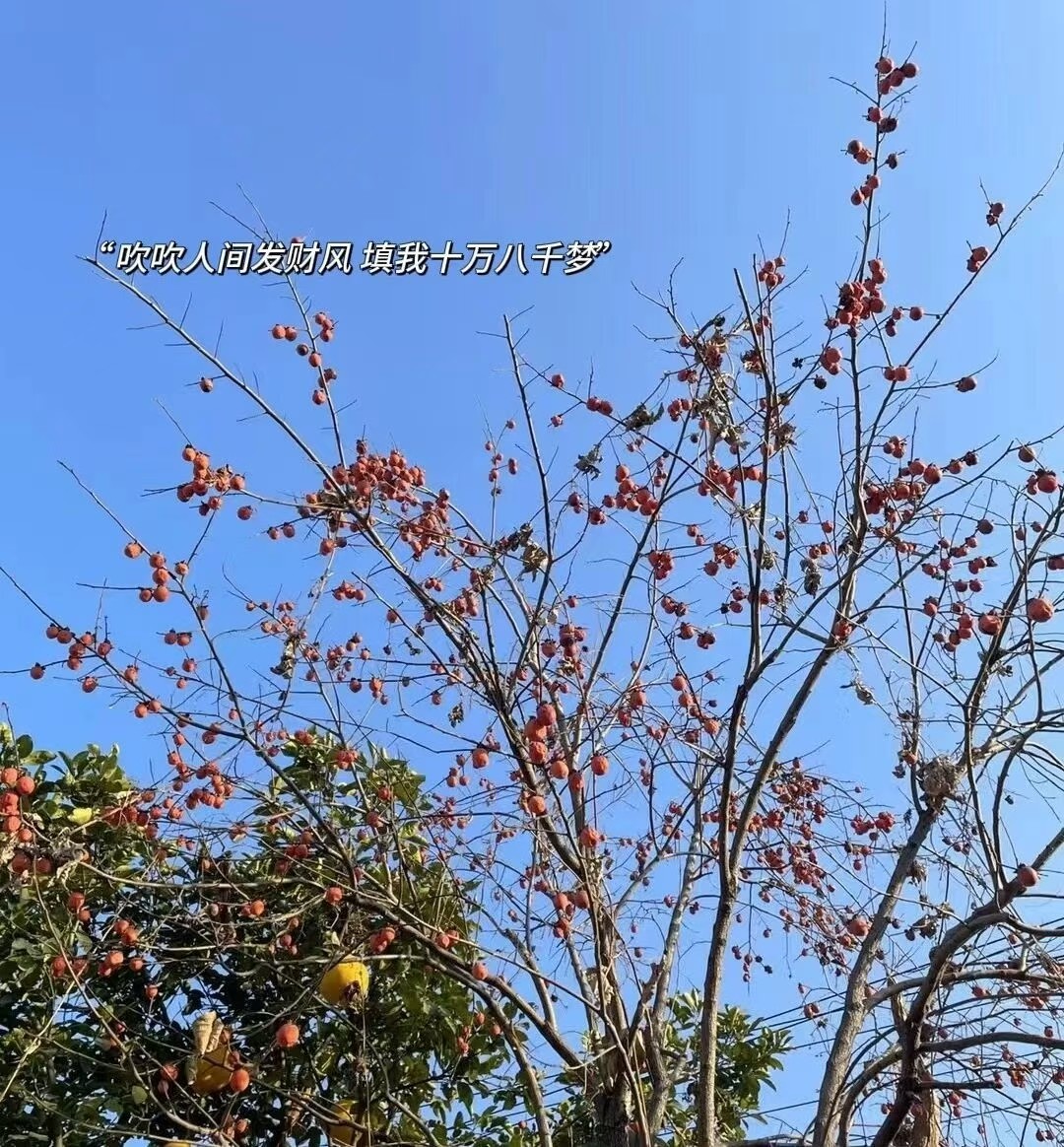 🍀🌱
“强者找方法，弱者找借口；
 强者解决问题，弱者发泄情绪。” ​​​