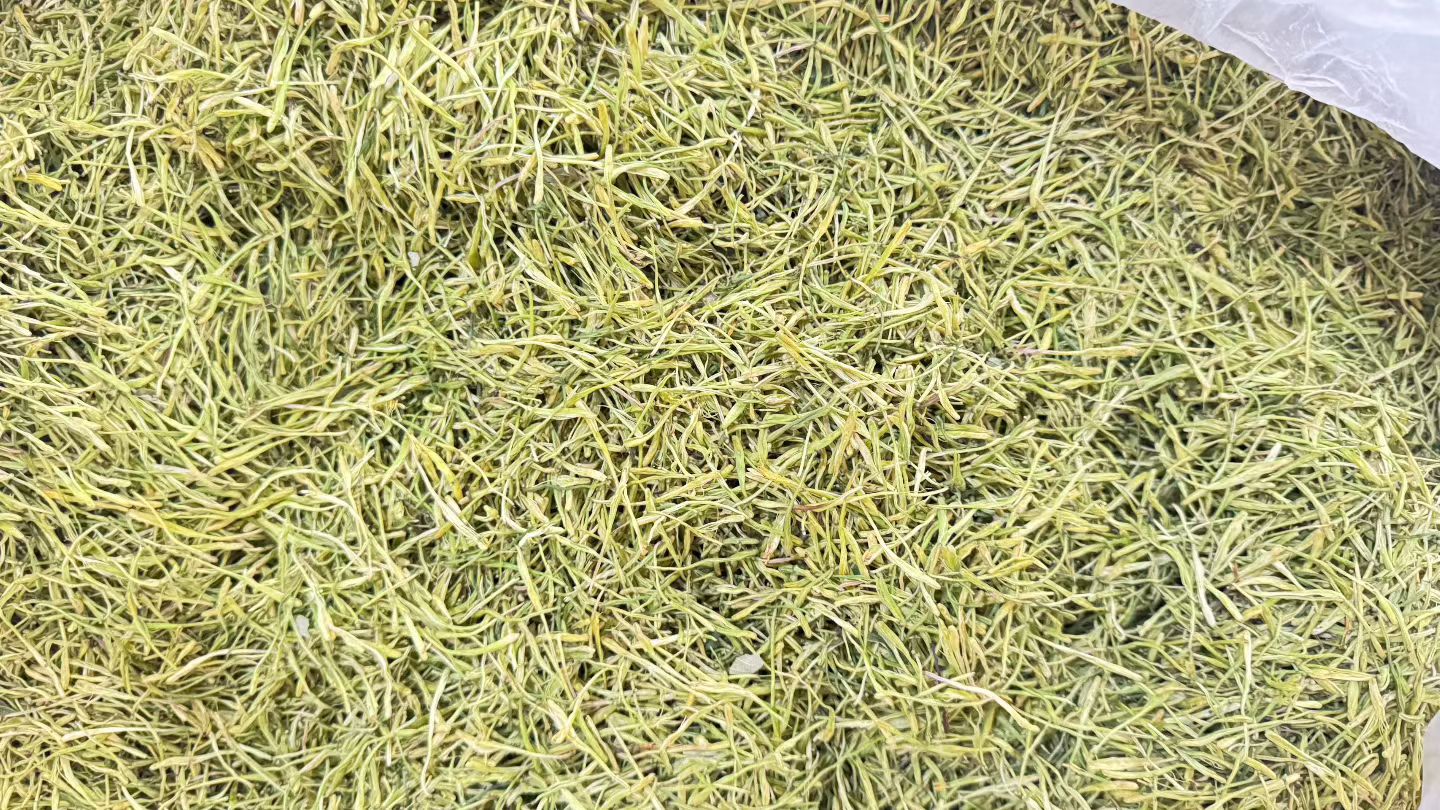 金银花