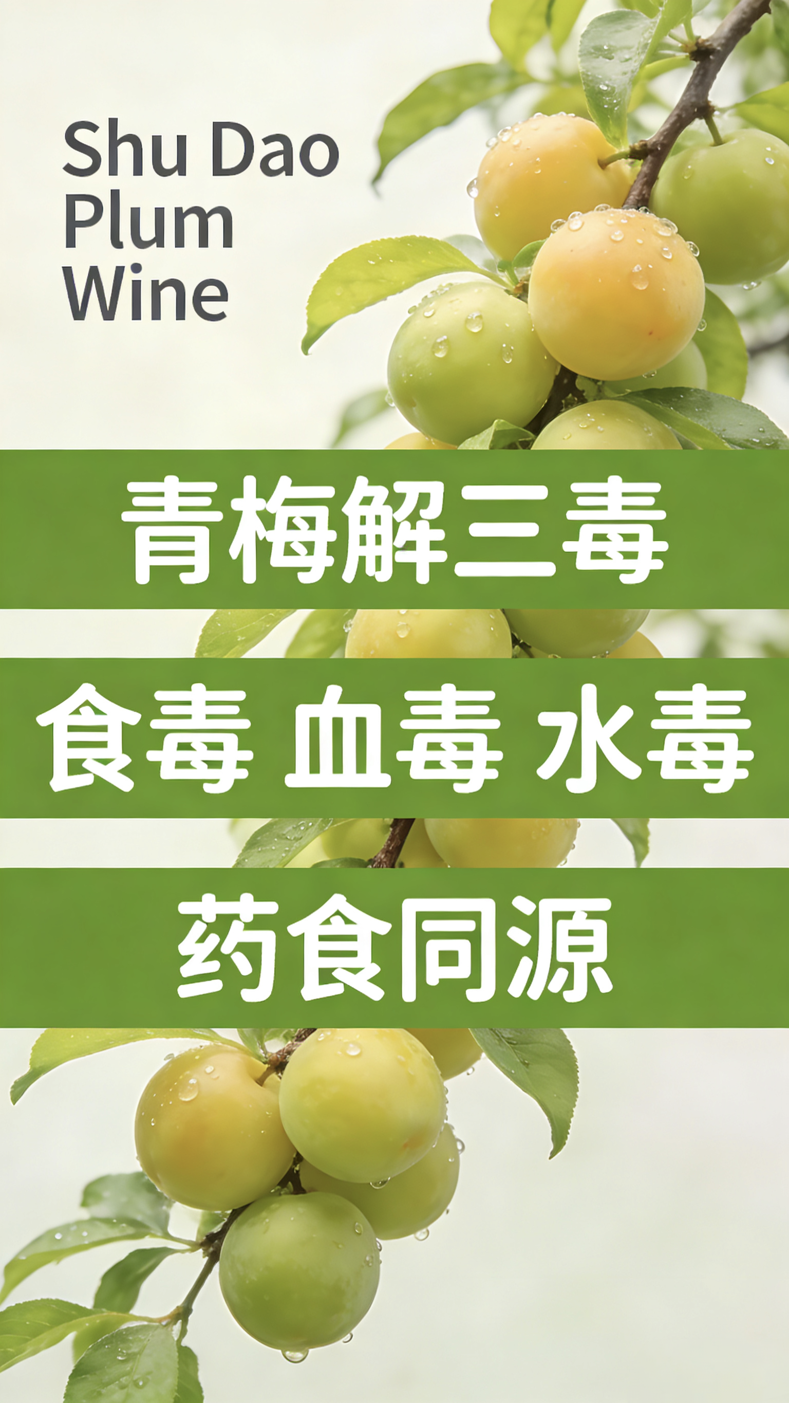 青梅解三毒