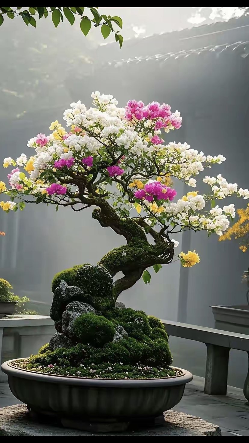 母亲节祝福