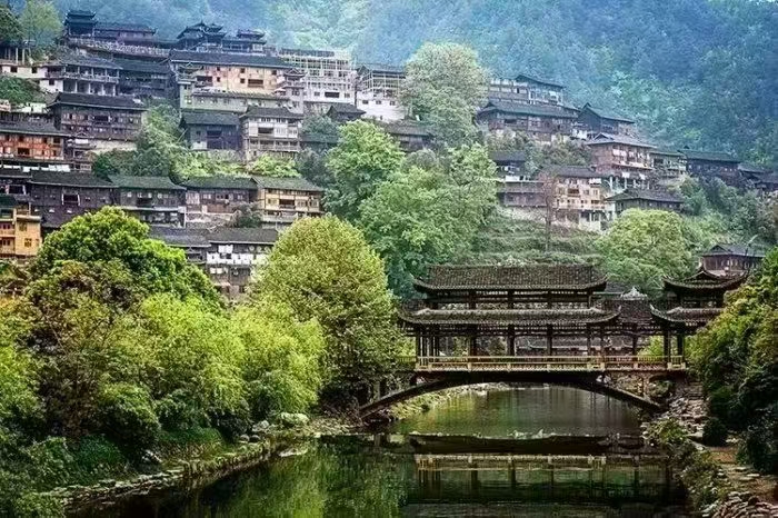 小小苗茶，让您的身体越来越好！