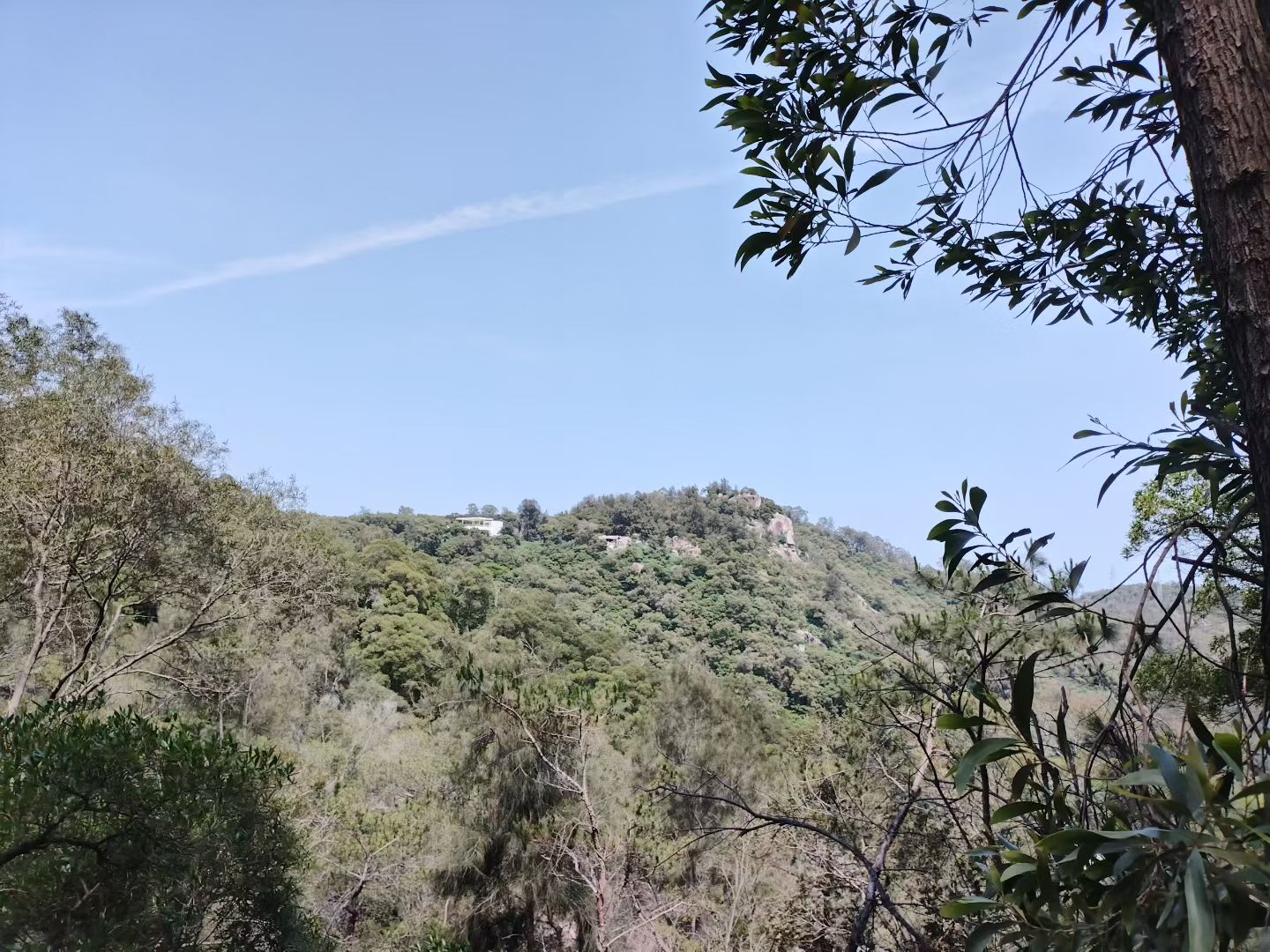 “成为自己的山，再去找心里的海。你不必属于出生的那座山，你当像鸟飞往你的山。