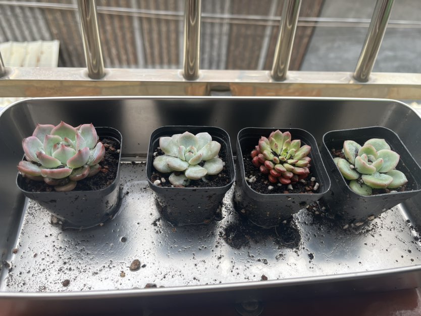 早安！ 新的一天，清零烦恼，满格电量出发~ 🌟