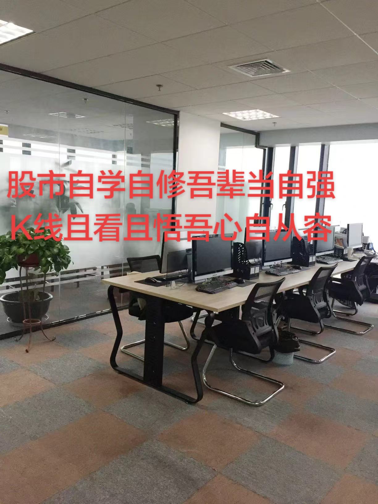 厦门芭蕉会交易员之家🙏