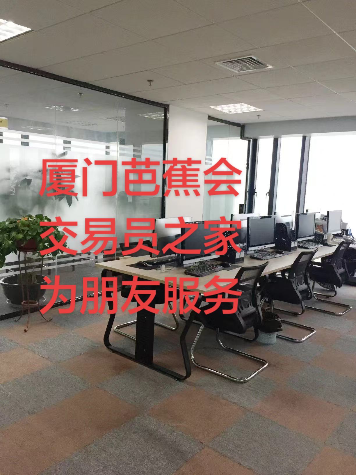 厦门芭蕉会交易员之家