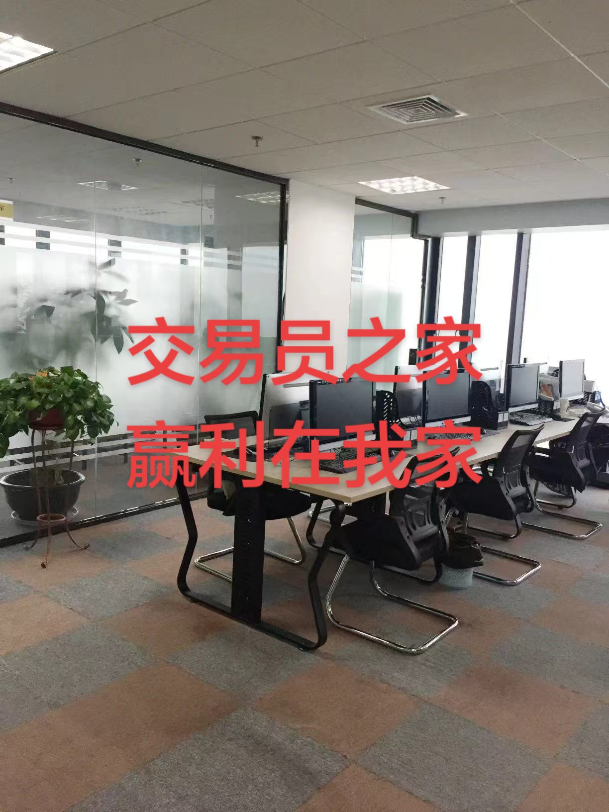 厦门芭蕉会交易员之家
改变韭菜命运梦境之窝🙏