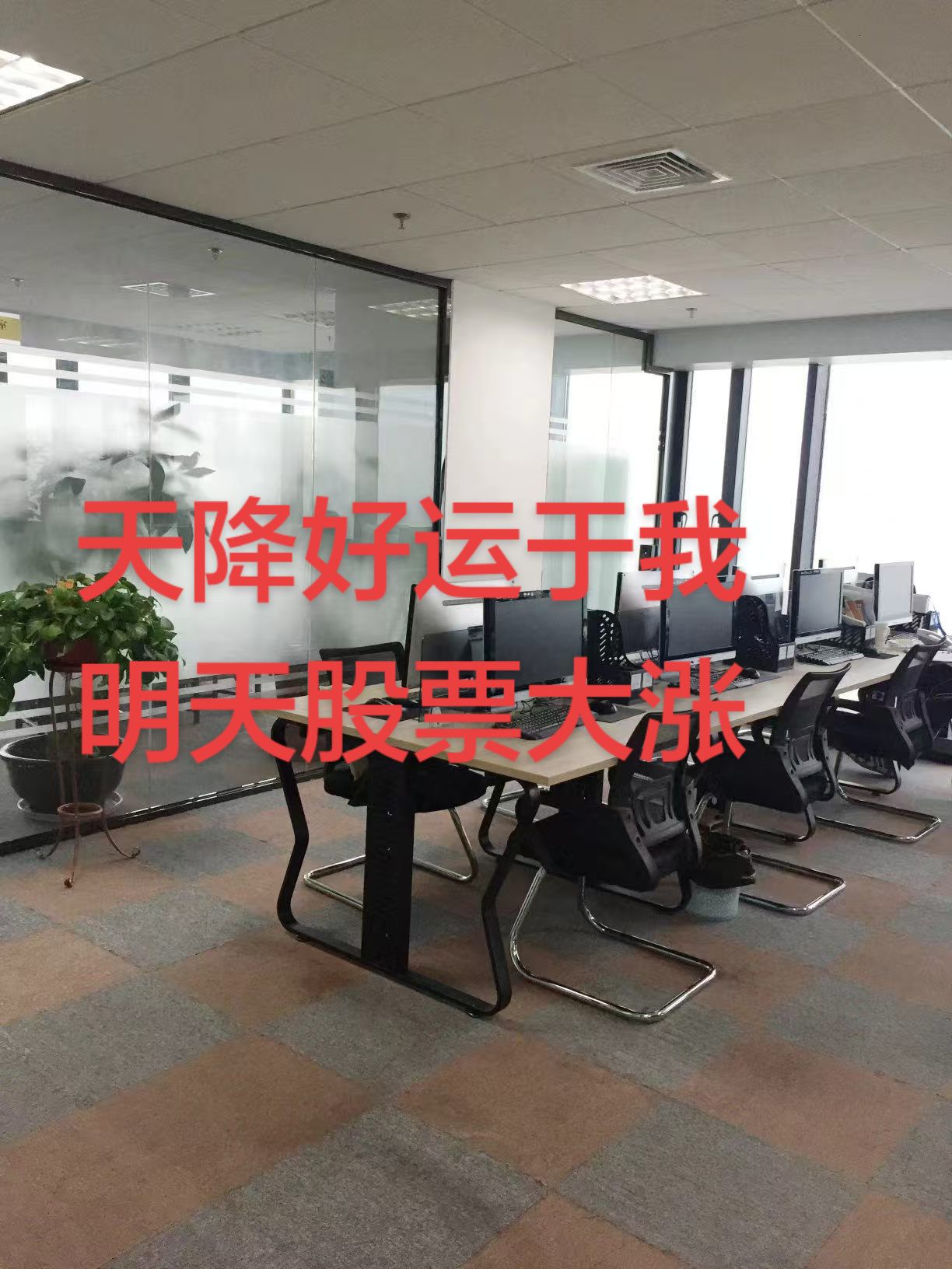 芭蕉会交易员之家
会员们吃香喝辣的🙏
