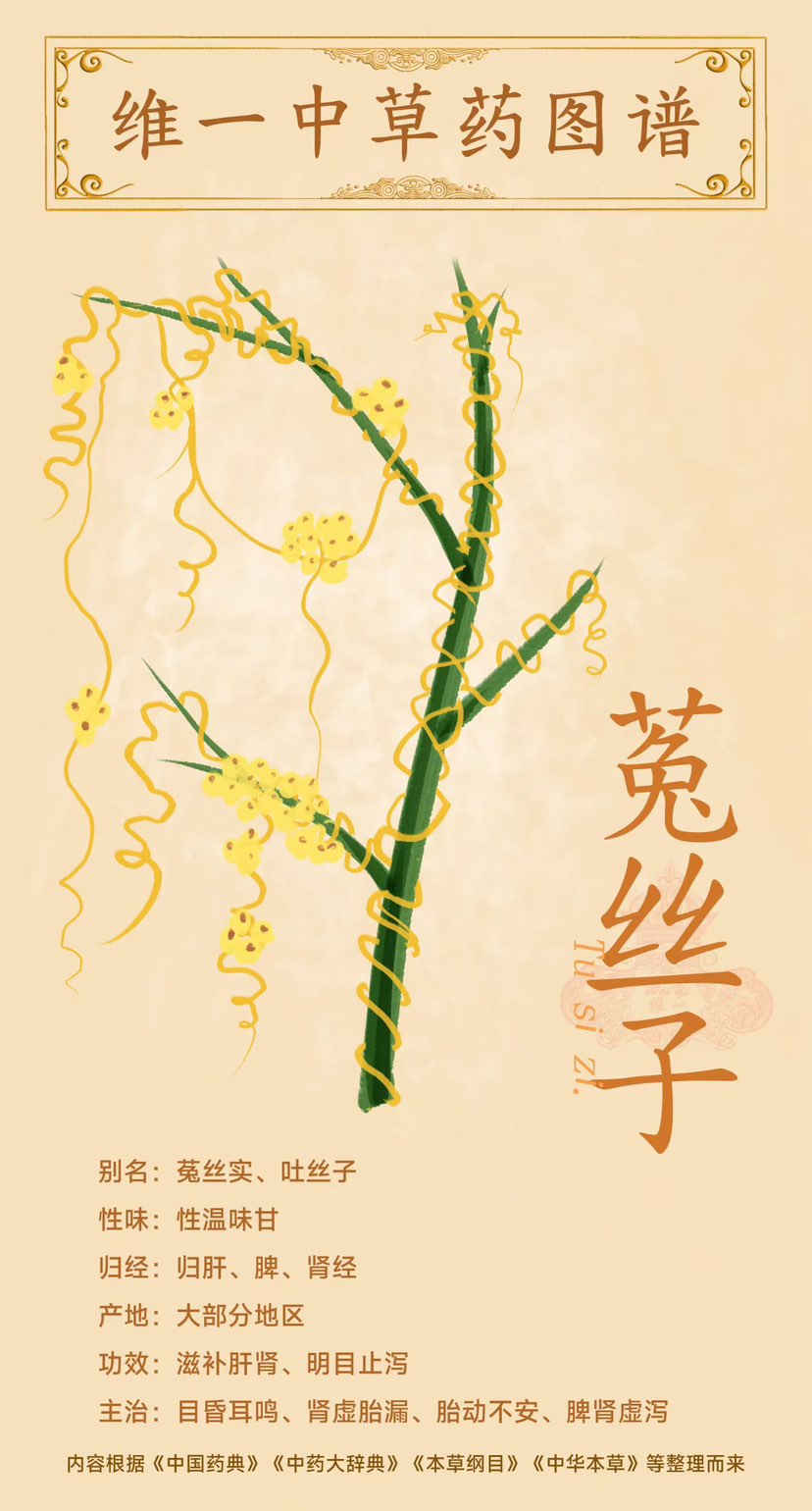 想知道咱们白云山维一植物精油
蕴含的中草药植物都是什么吗?
他们都有什么样的用途?
今天维一中草药图