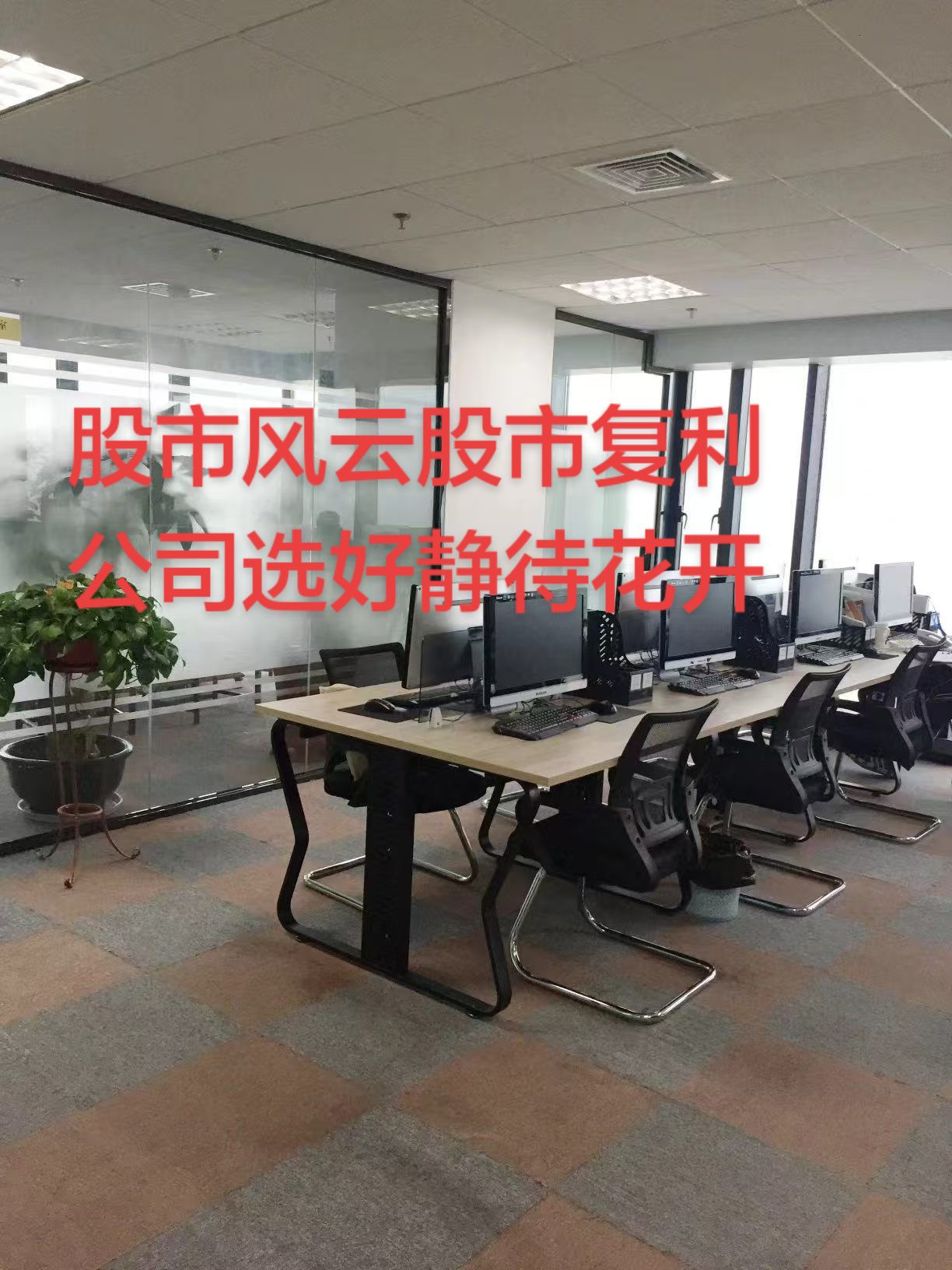 芭蕉会交易员之家