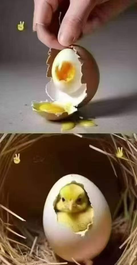 🥚鸡蛋从外打破是食物
🥚鸡蛋从内打破是生命

如果我们是被人打破的~
那注定会变成别人的食物

如果