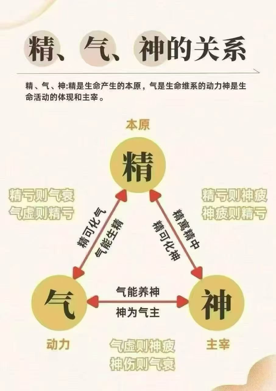 精、气、神的关联 👇
精是生命本原[强]
气是维持动力[胜利]
神是活动主宰[握手]
三者互相影响💦