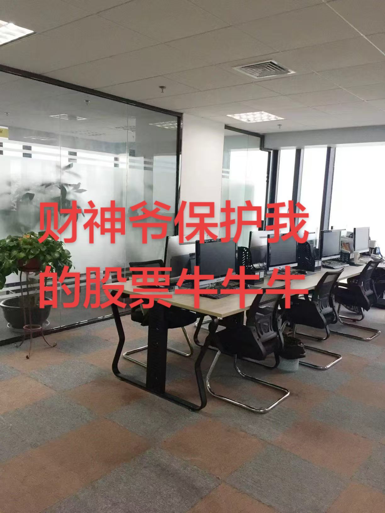牛牛牛牛牛牛牛
