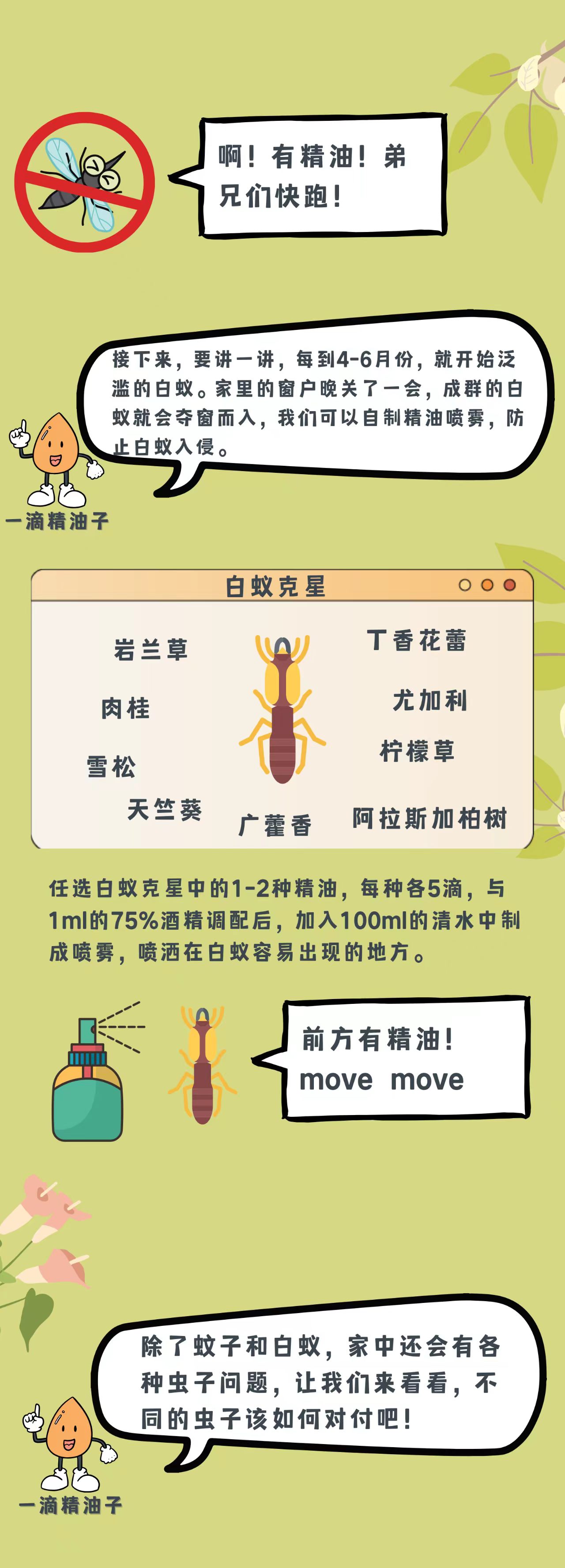 防蚊虫及防白蚁精油