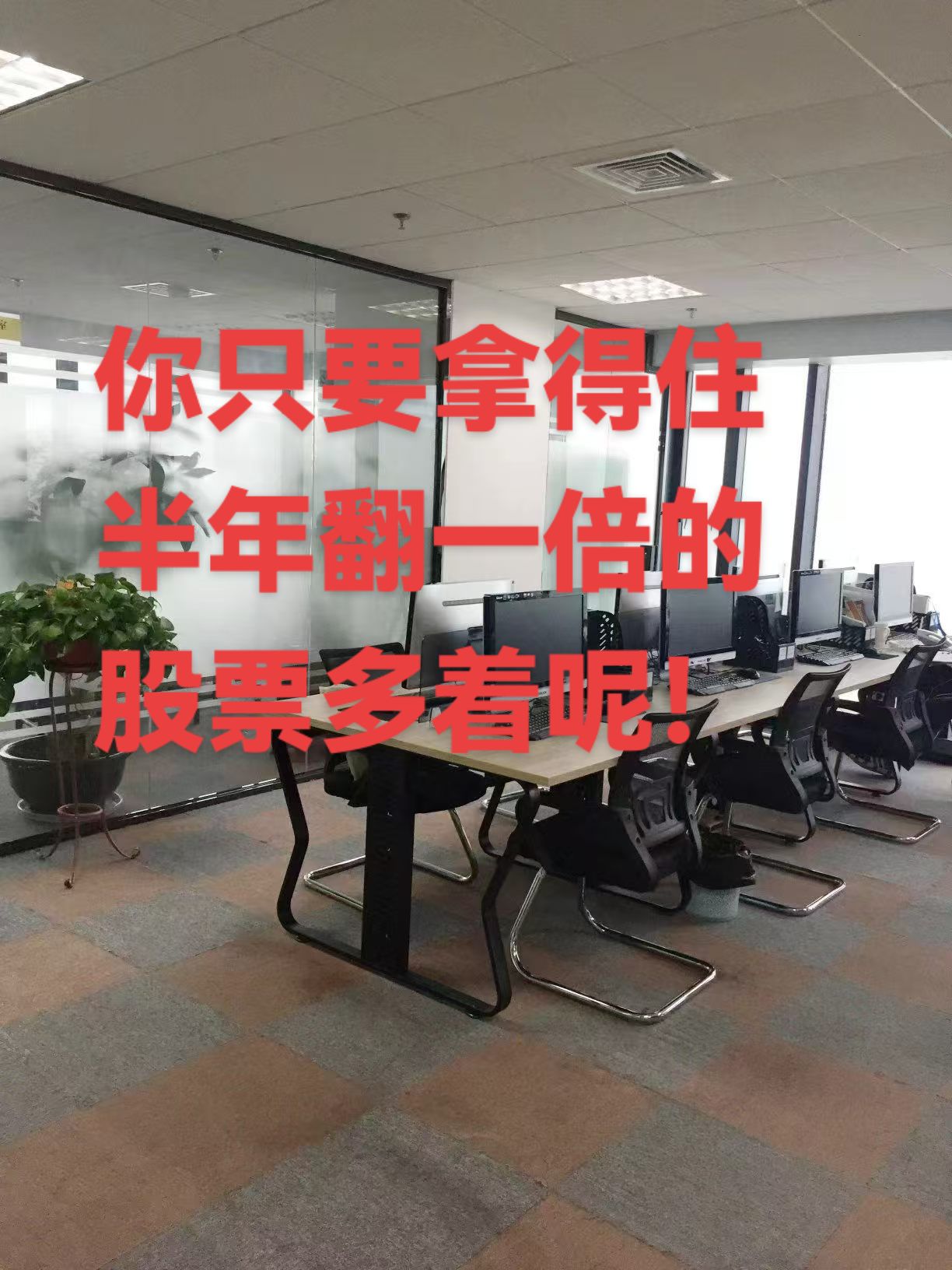 交易员之家