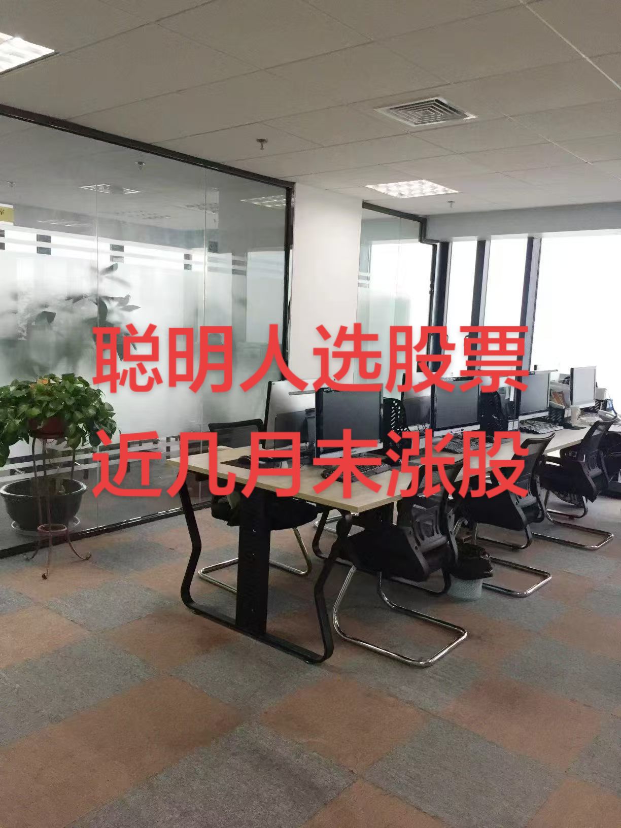 交易员之家
