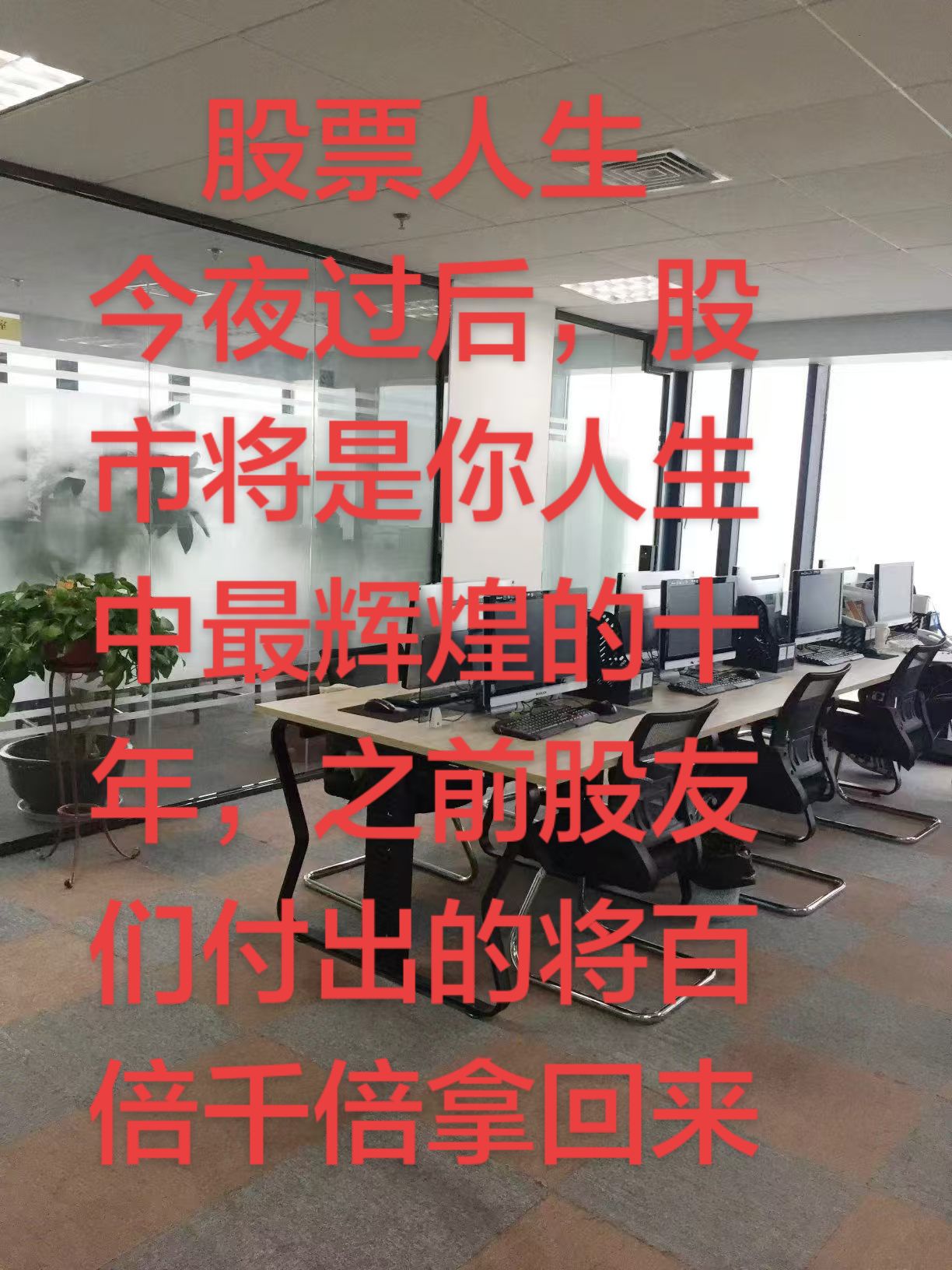 交易员之家🙏
