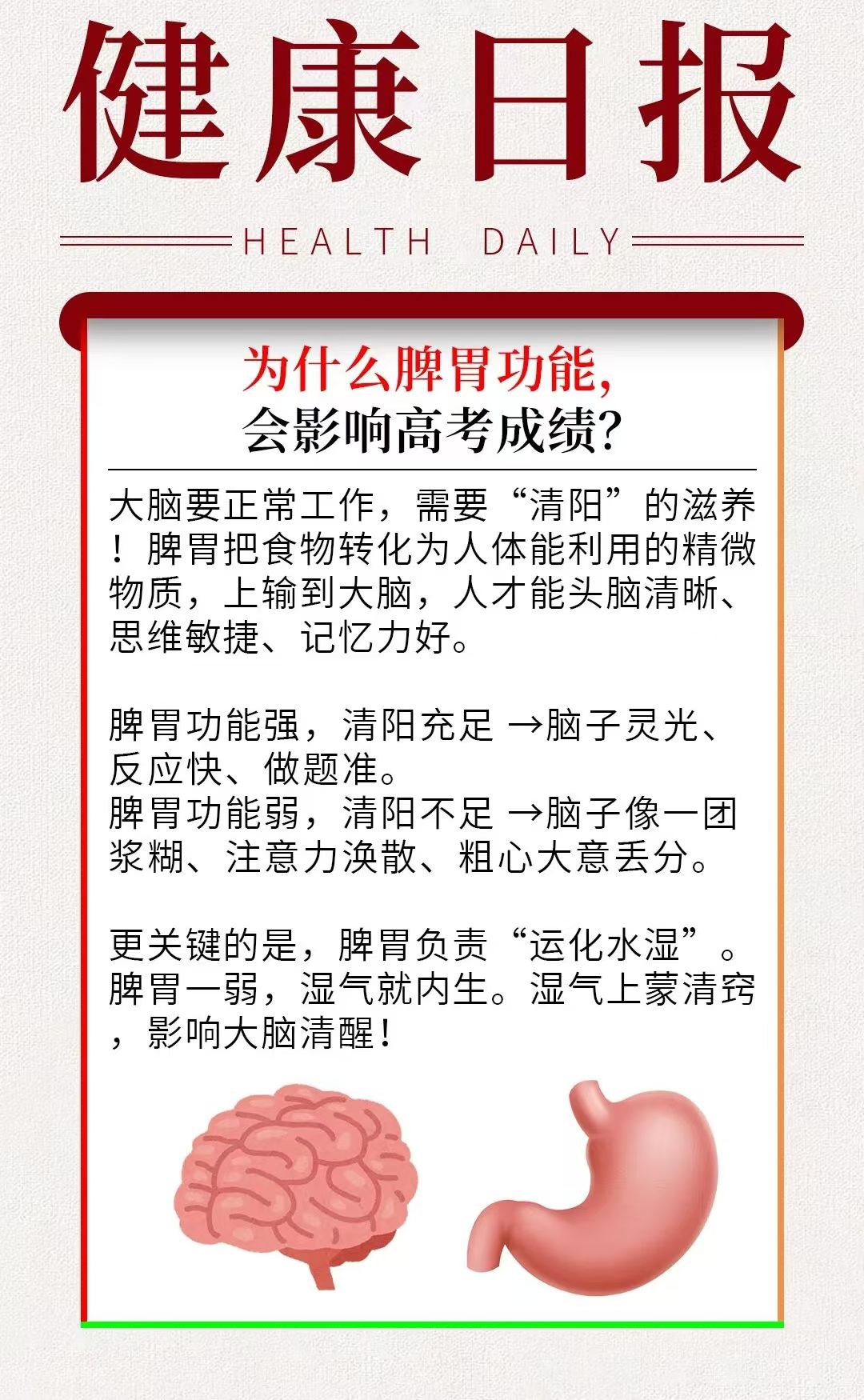为什么脾胃功能，会影响高考成绩？
大脑要正常工作，需要“清阳”的滋养！
脾胃把食物转化为人体能利用的