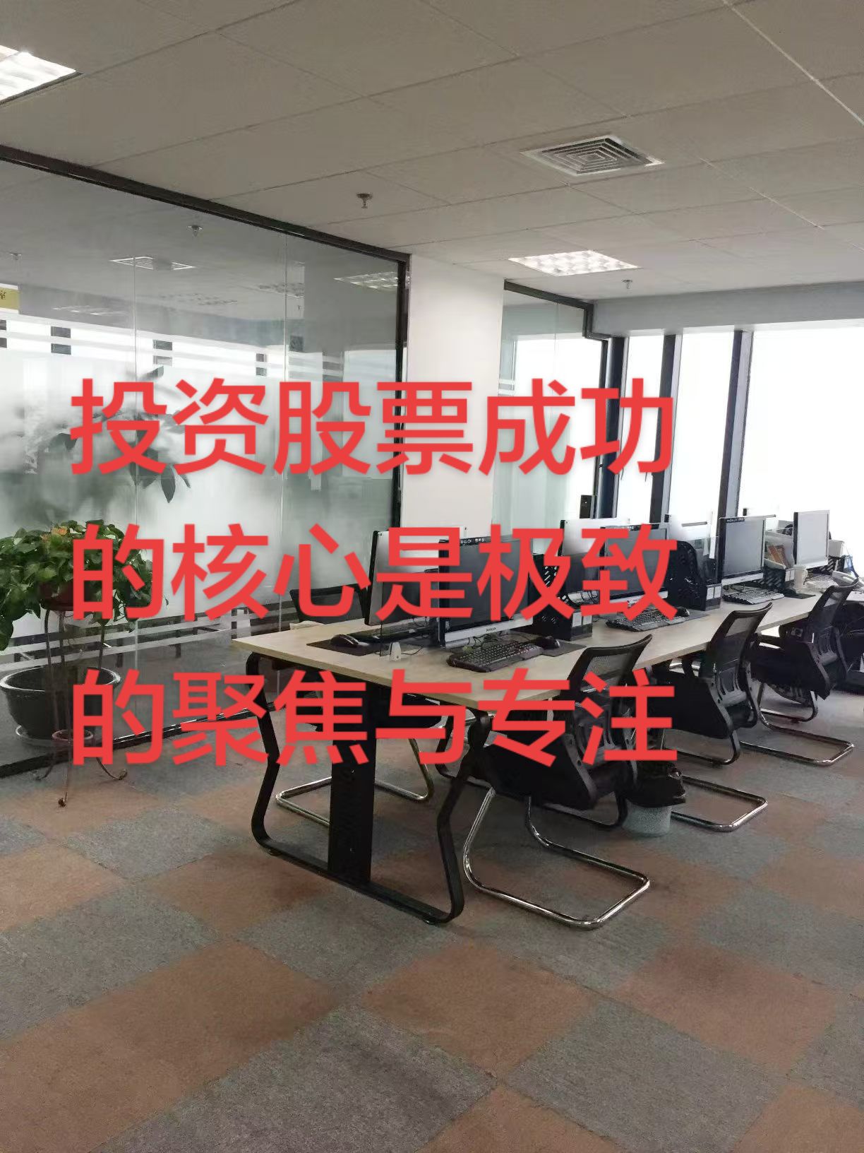 芭蕉会天选交易员🙏