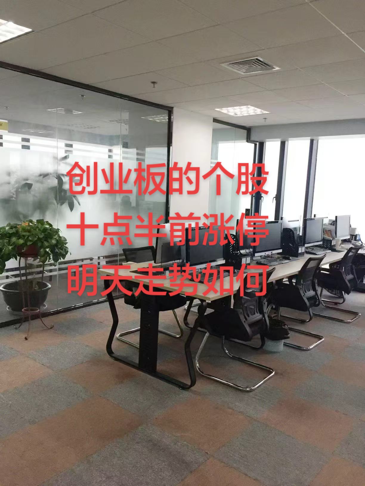 交易员之家🙏