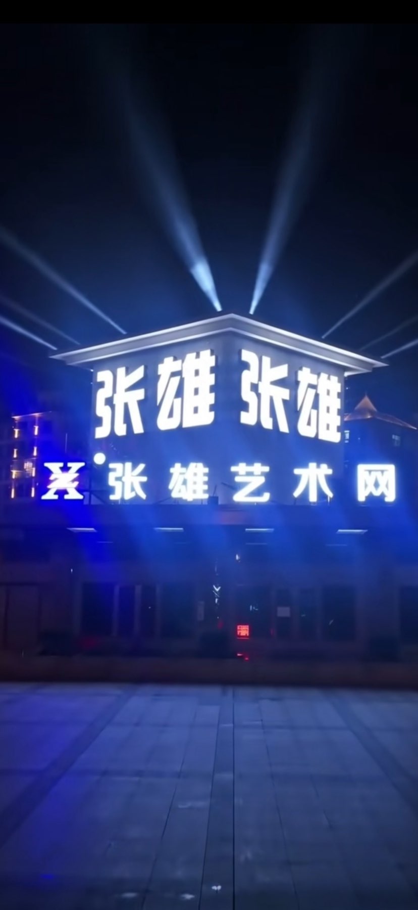 张亚雄、张雄艺术网创始人、张雄书画院院长、即得社交电商创始人、文商融合的开拓者、政协第十二届福建省委