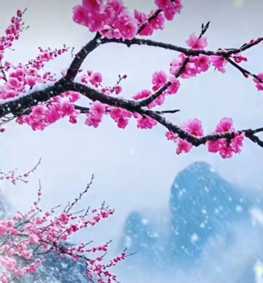 北冥的巨鱼，正因为不执着于风，才能自在遨游；


干涸车辙里的小鱼，因不为情绪所困，得以重归江湖。
