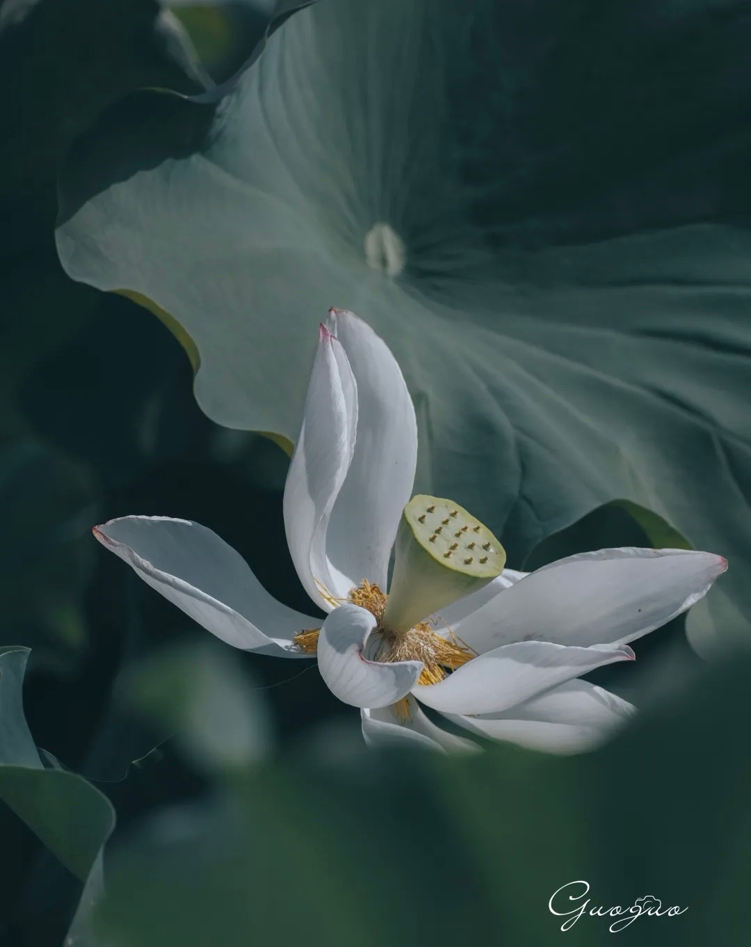 少一点自我怀疑，多一点笃定相信；

少一点焦虑内耗，多一点从容坚定。

 

请始终相信：

你是什