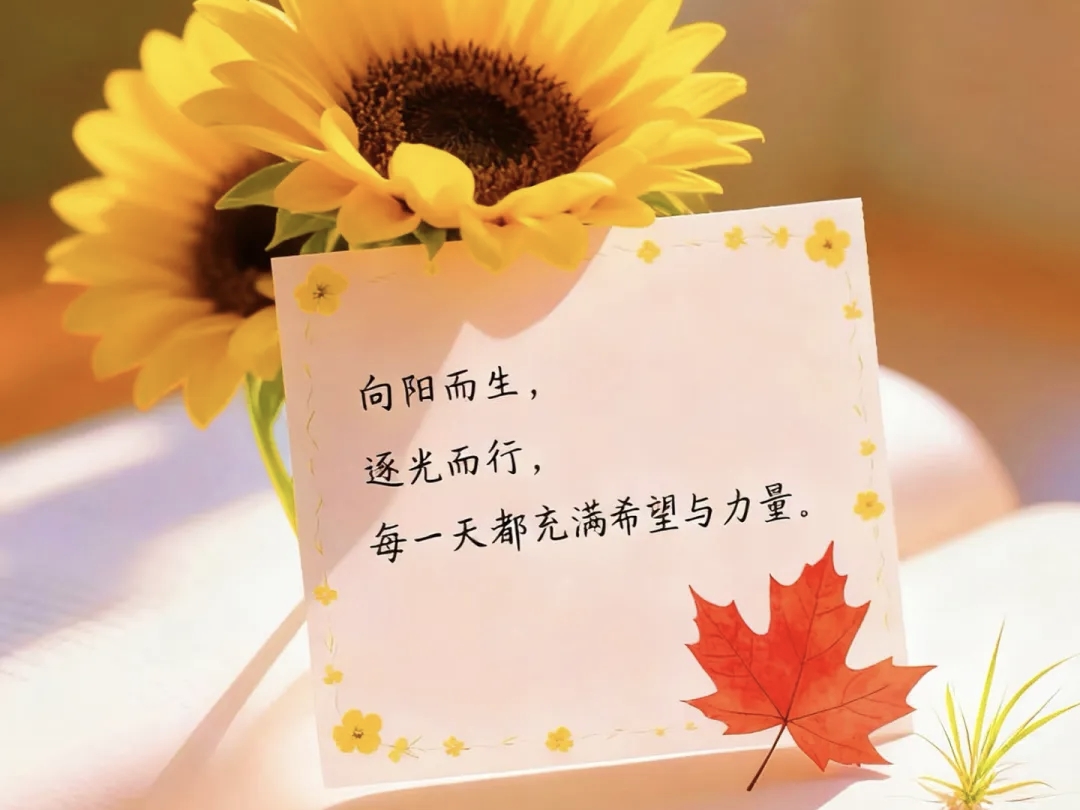 今天解决不了的烦恼，不妨先交给月亮，明天醒来又是崭新的开始。