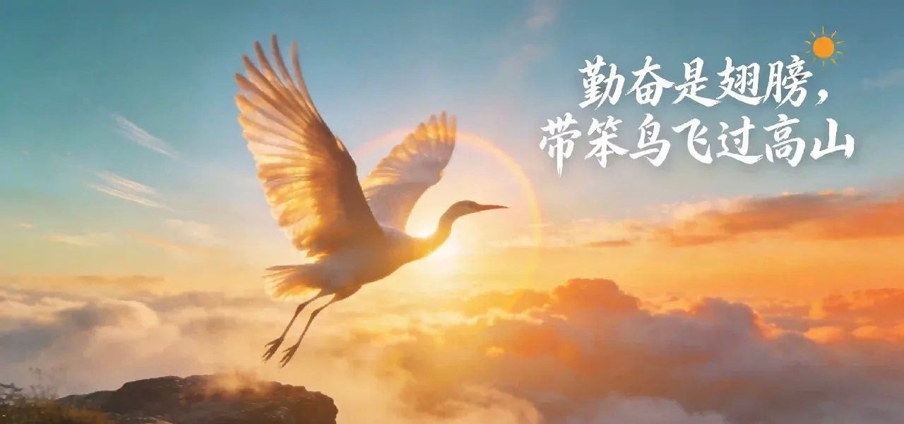 一旦勤奋起来，全身心的投入，再笨的人，也能起飞。这个世界很公平，你越勤快，人生才会越顺。