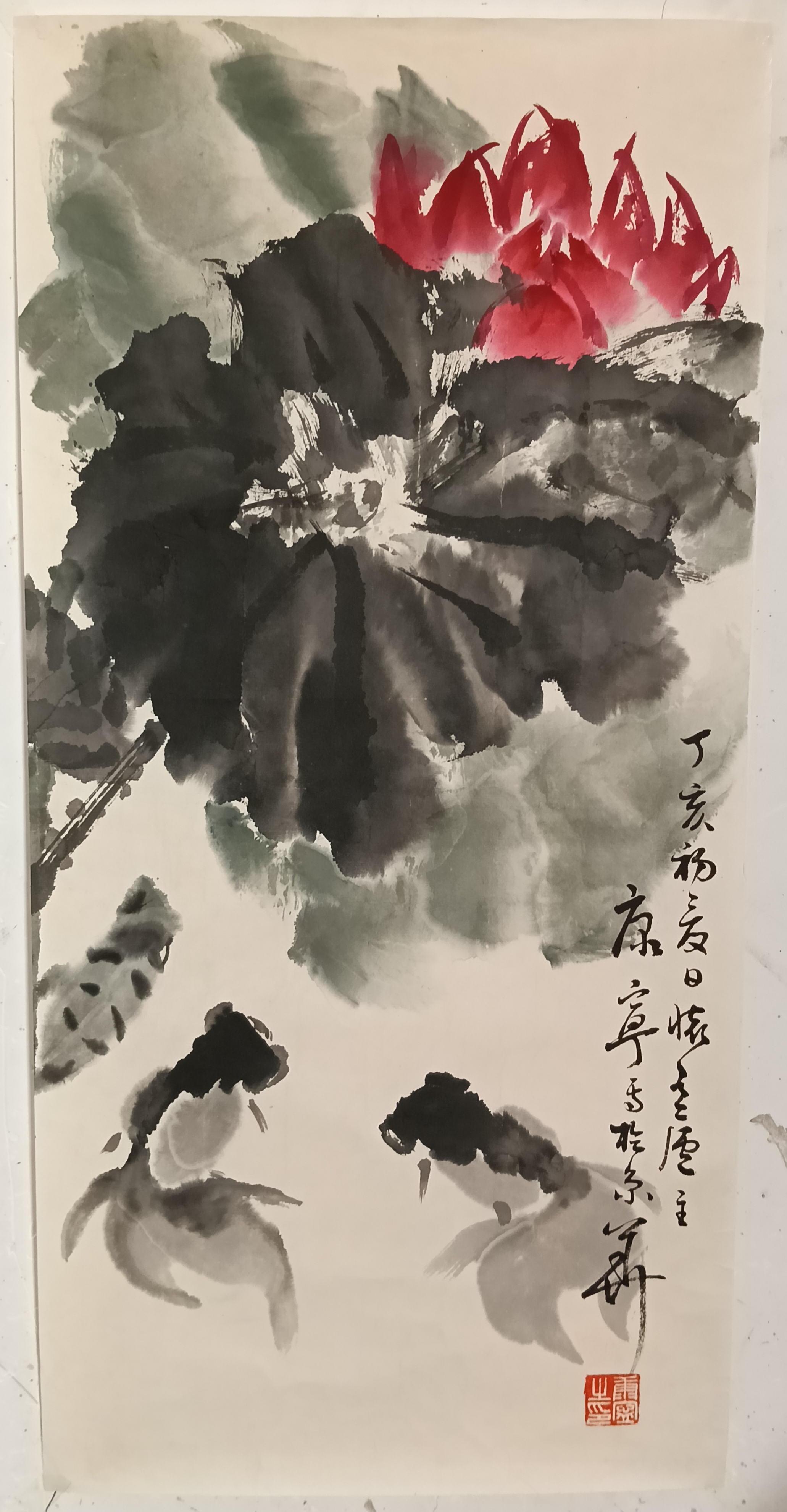 书画家  康宁