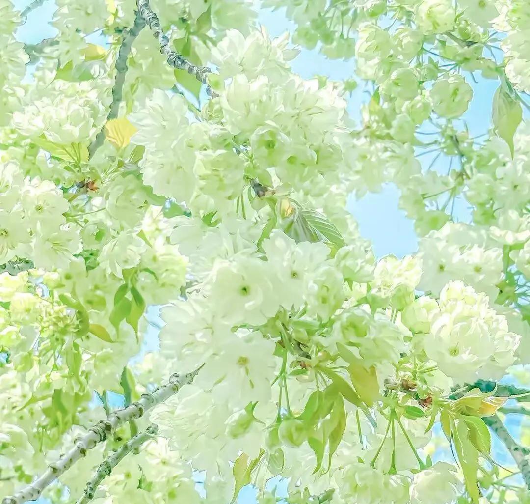 “所有的优秀背后，总有日复一日的自律。你付出的时间和精力，都是在对未来的积累，时间会给出最公平的答案