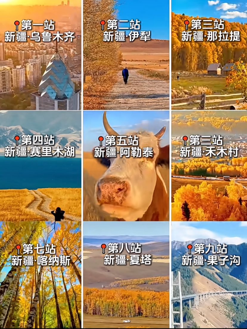 秋季胡杨 疆游旅行 九月中旬至十月中旬北疆秋景最佳 十月中旬至十月底秋季胡杨南疆最佳  
9月15号