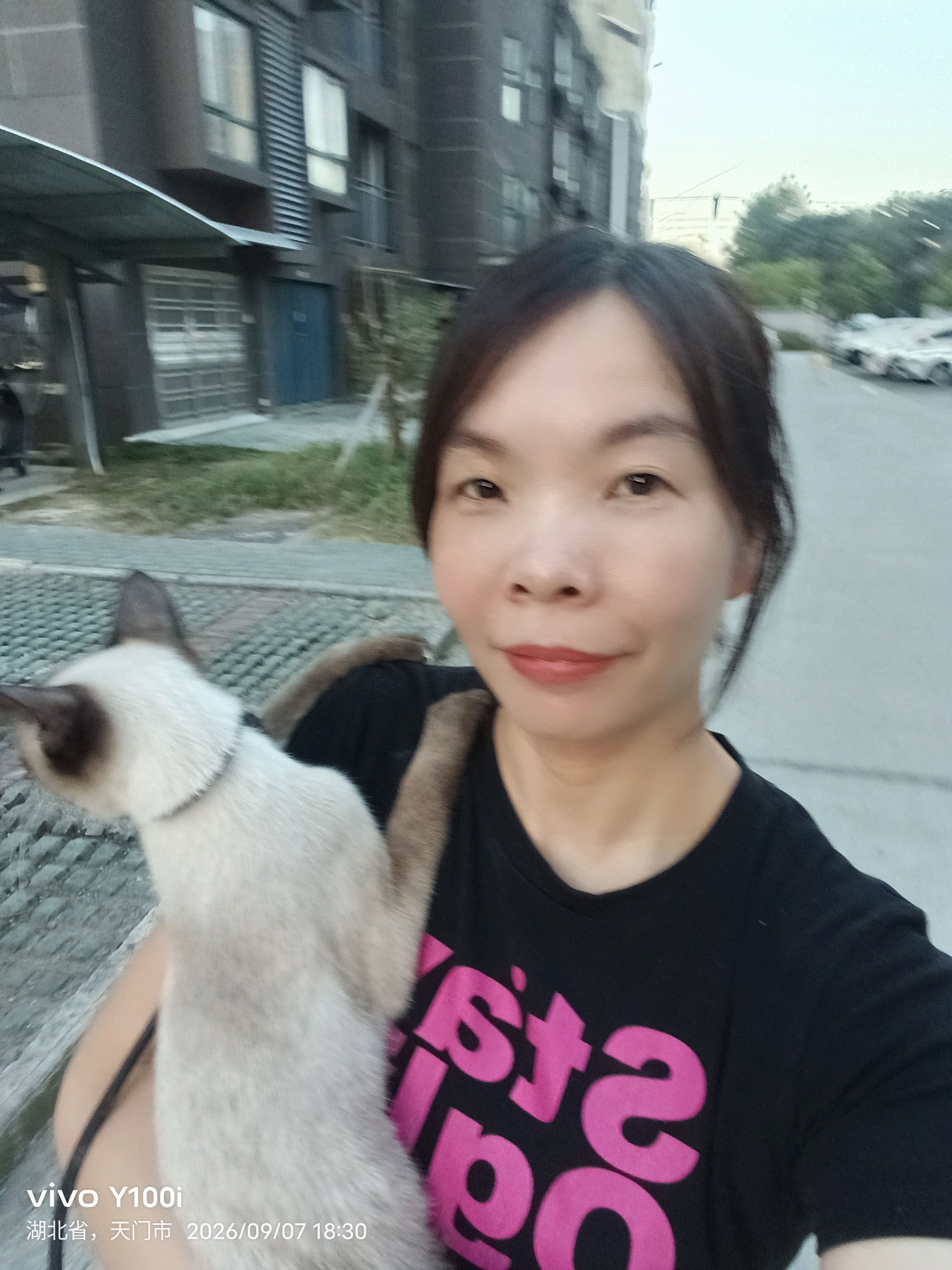 没有孙子只好拿猫子来练手！
