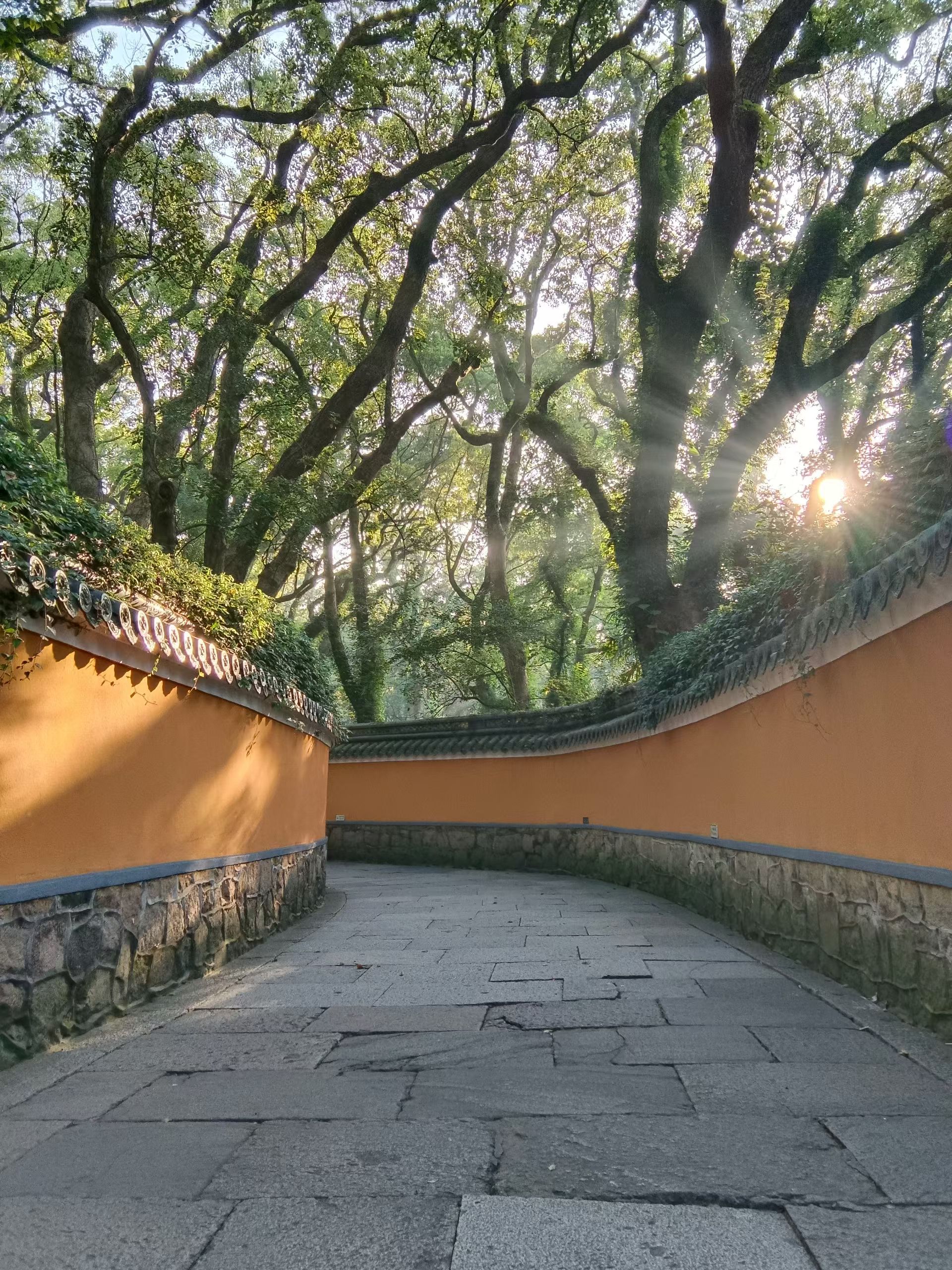 修嘴——谨言慎行不议人非
修心——看淡世事内心安然
修德——心存善良宽厚待人
修身——品行端正举止有