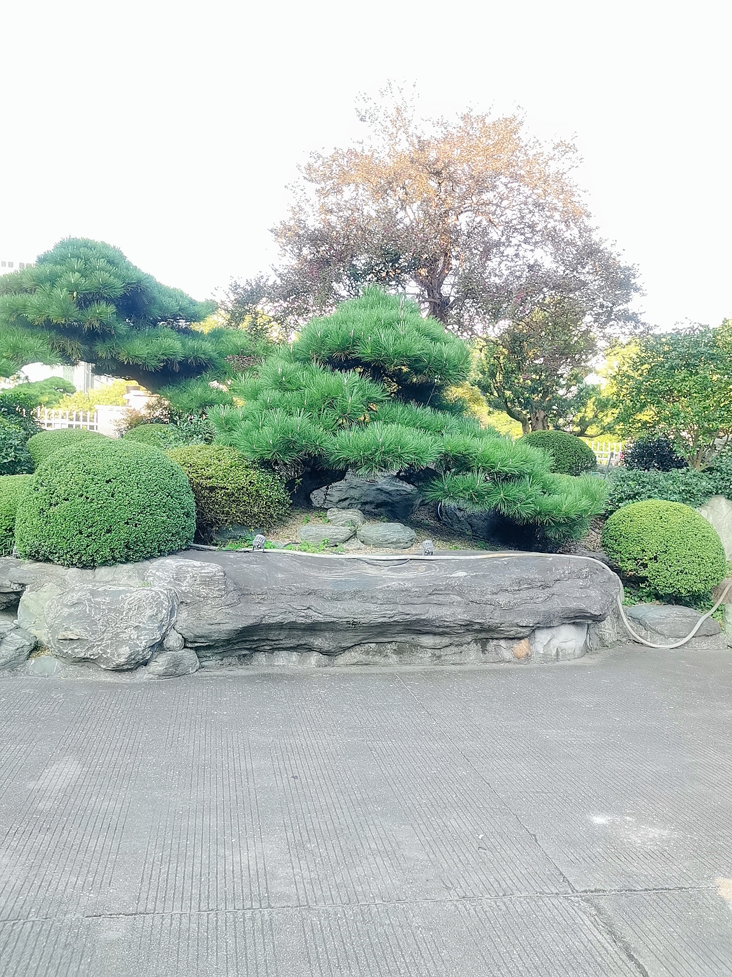 公司一角