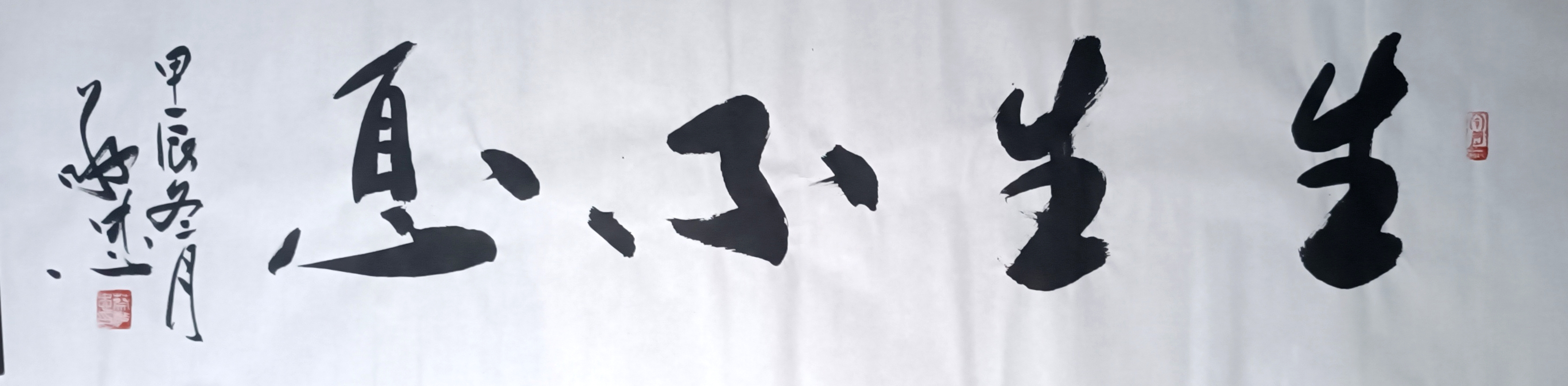 书法《生生不息》