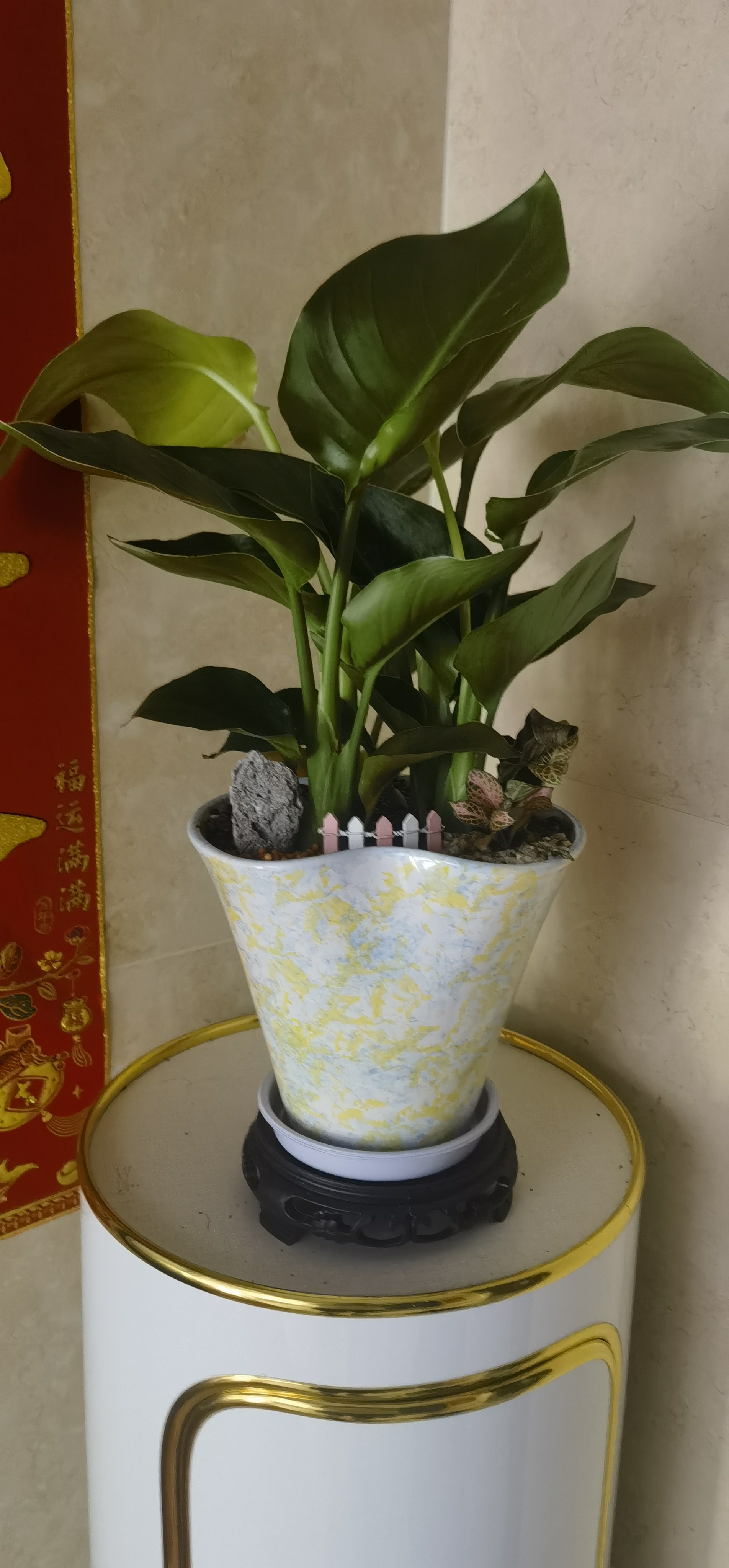 美好生活