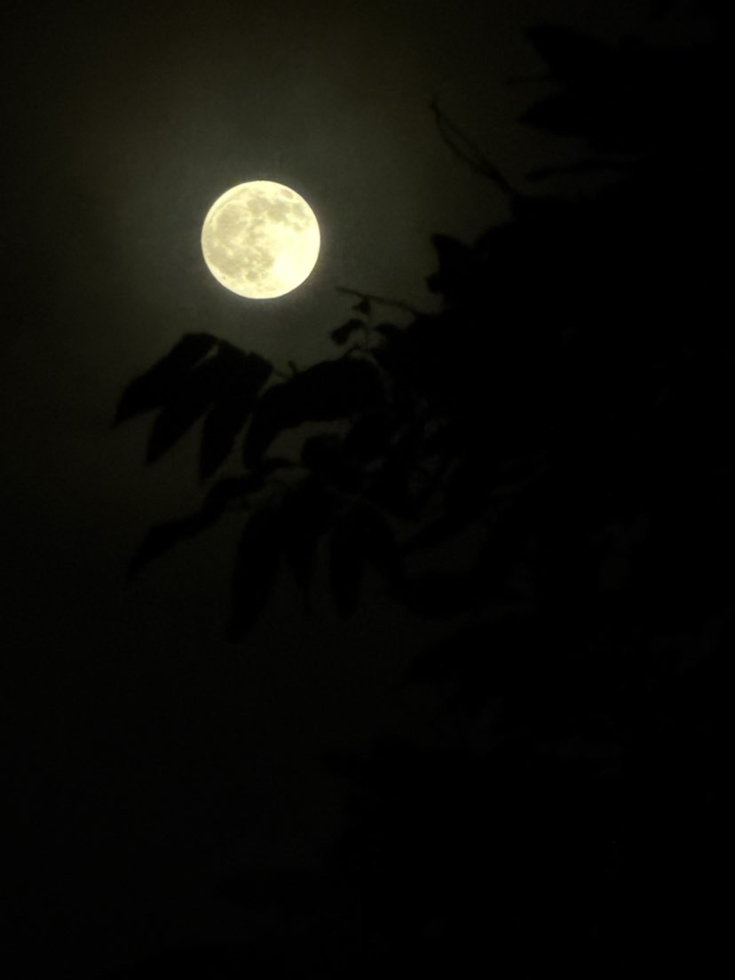 活着，
除了尽兴，
无有更美的风景。