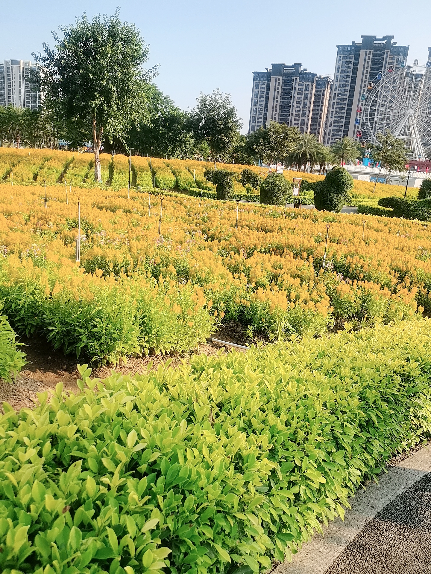 一部手机住家旅游吃饭逛街随时随地都可以运作全球市场