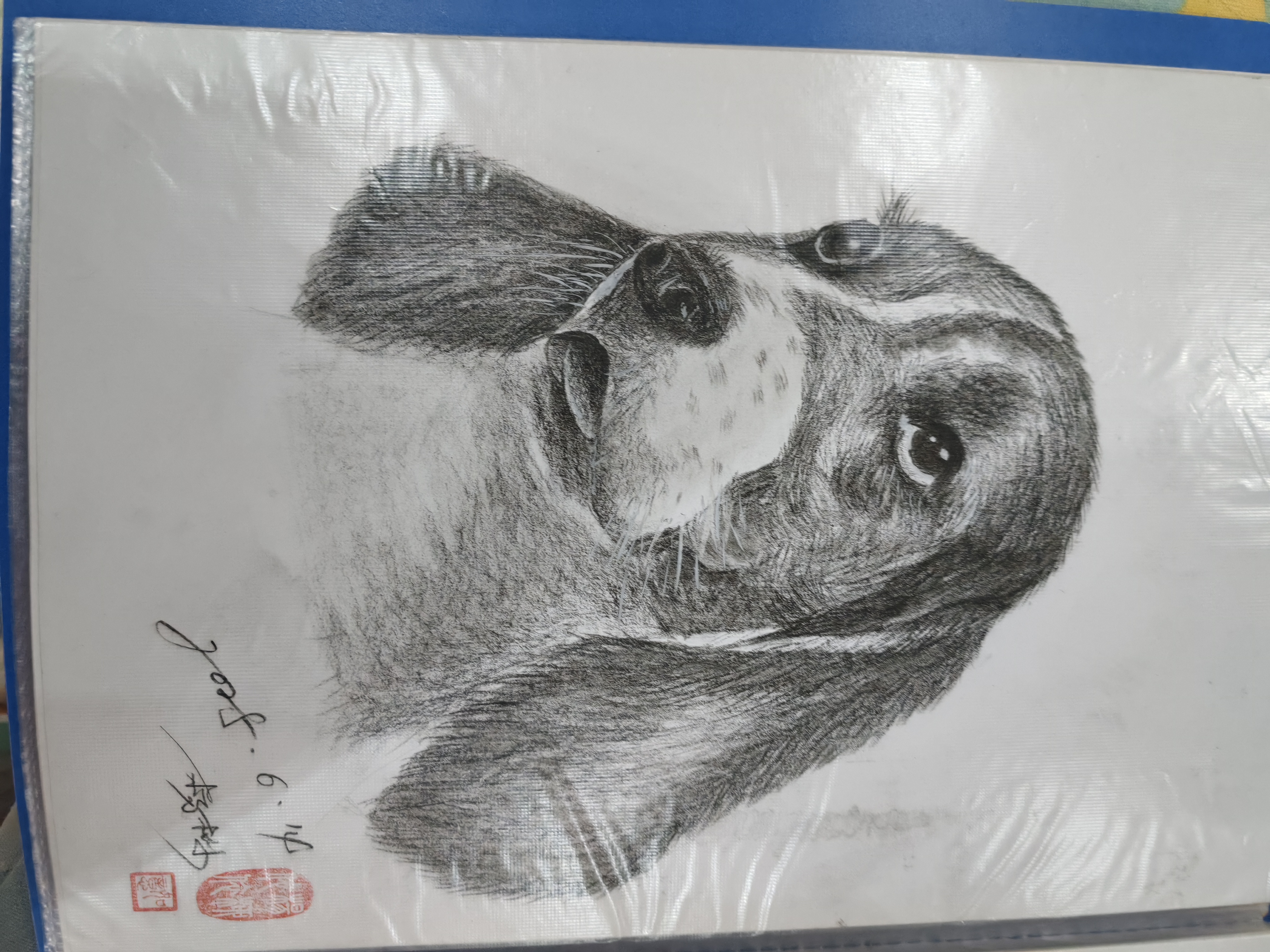 生活吗就要开开心心的过，明天画点画，开心快乐每一天哦，个人爱好而已。